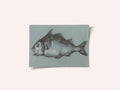Fish Green (1775–1833)