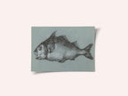 Fish Green (1775–1833)