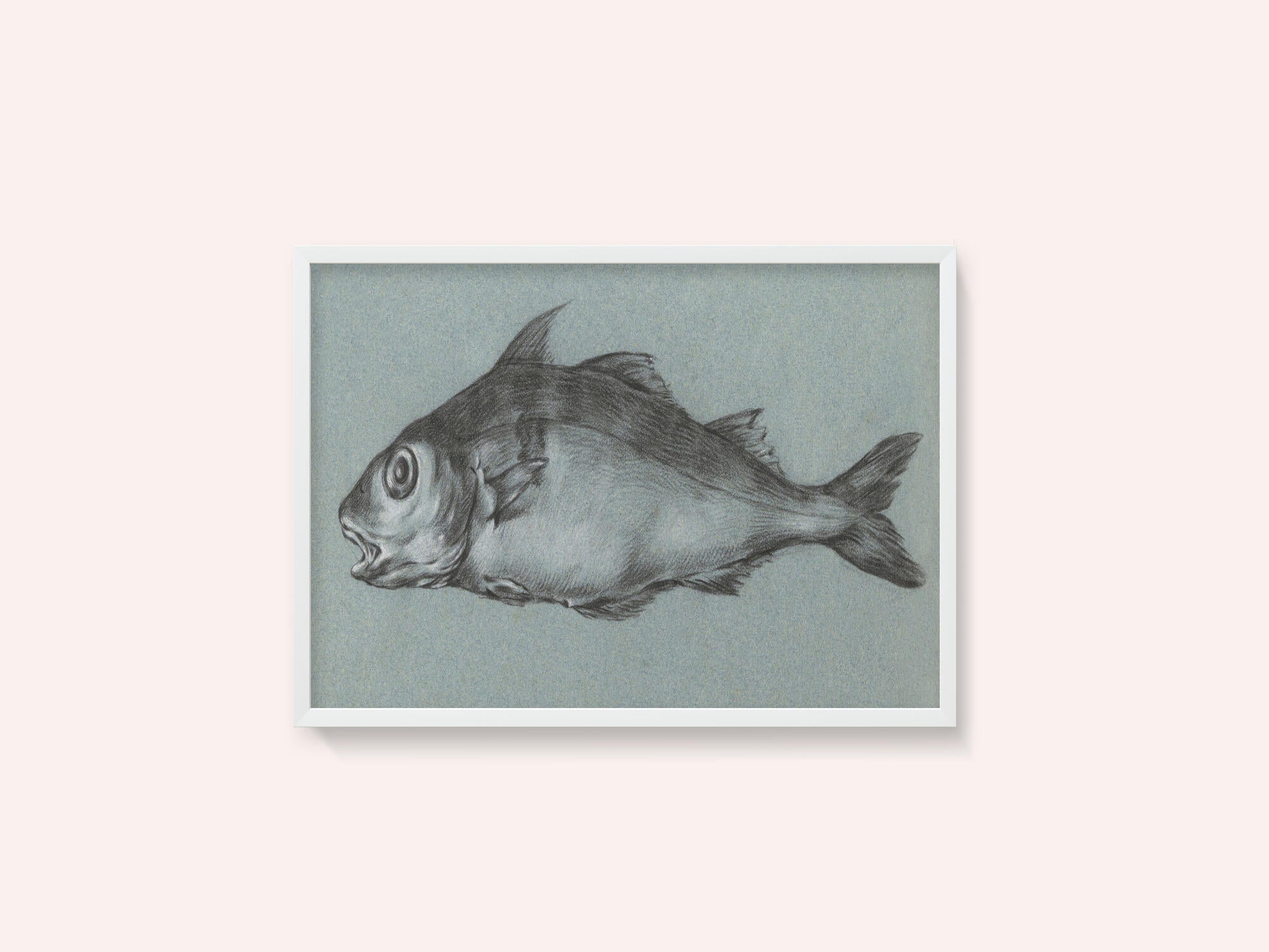 Fish Green (1775–1833)