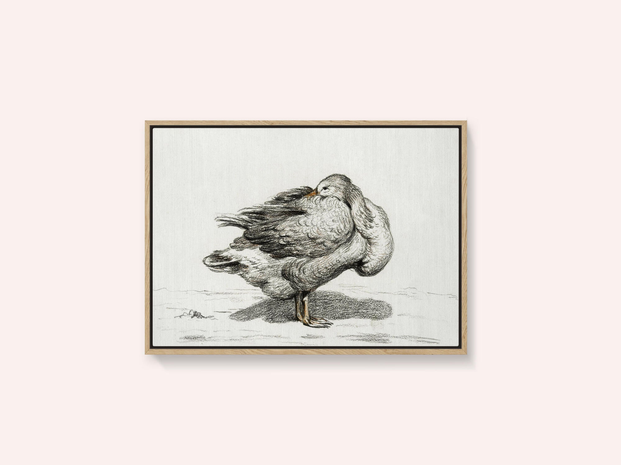 Goose (1816)