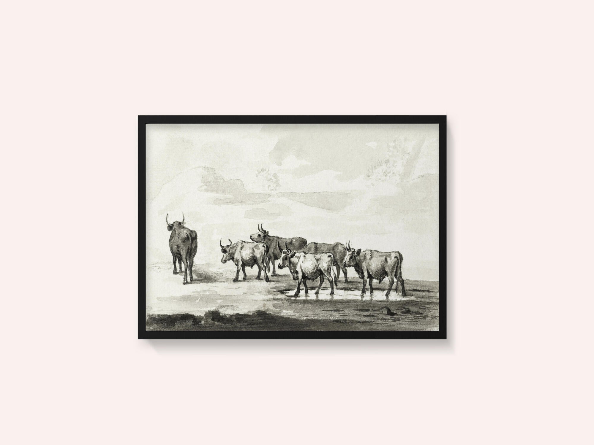 Group of Six Bulls