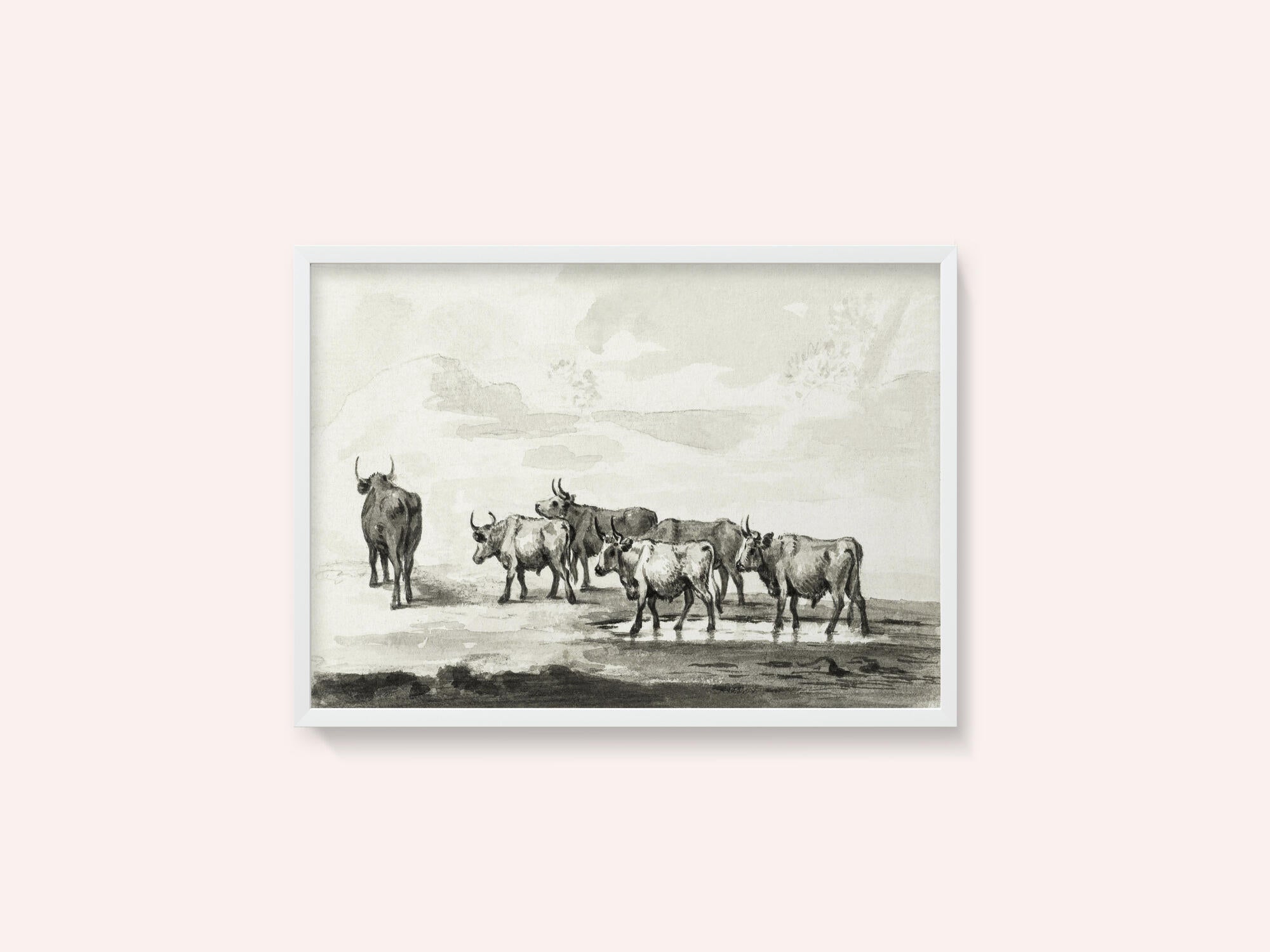 Group of Six Bulls