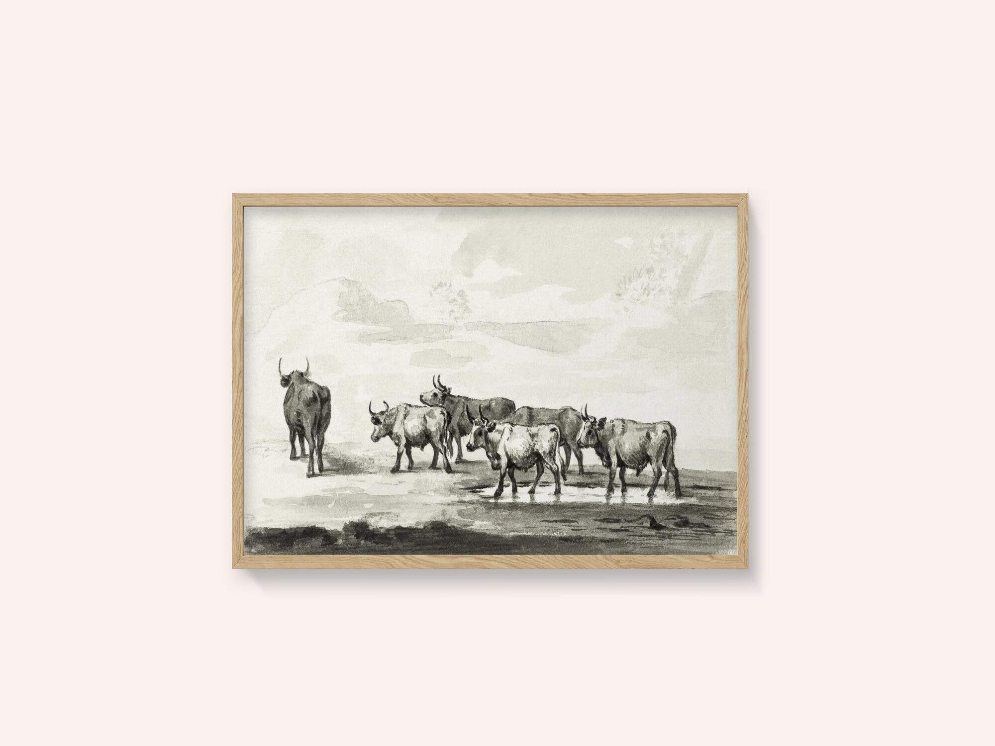Group of Six Bulls