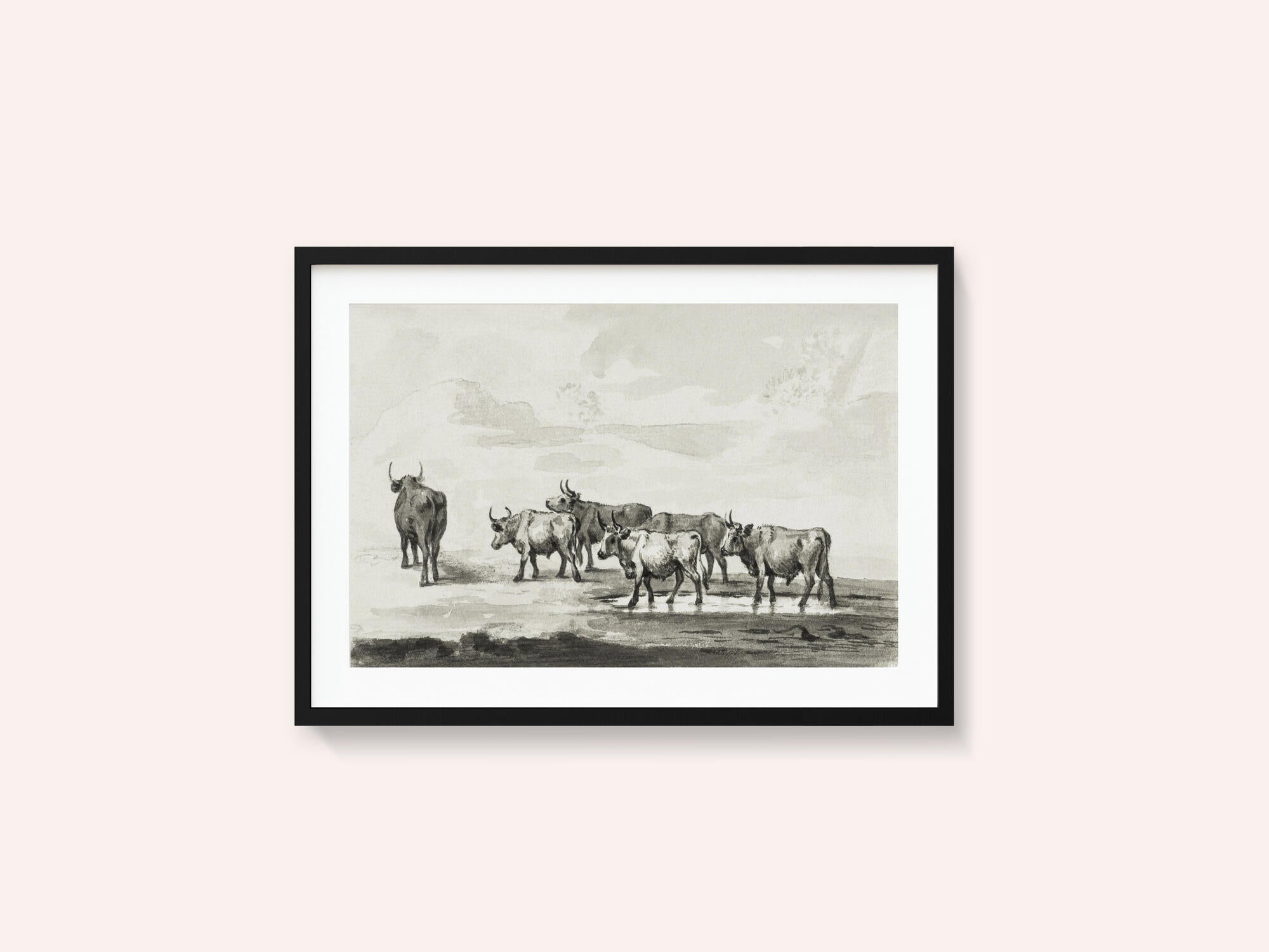 Group of Six Bulls