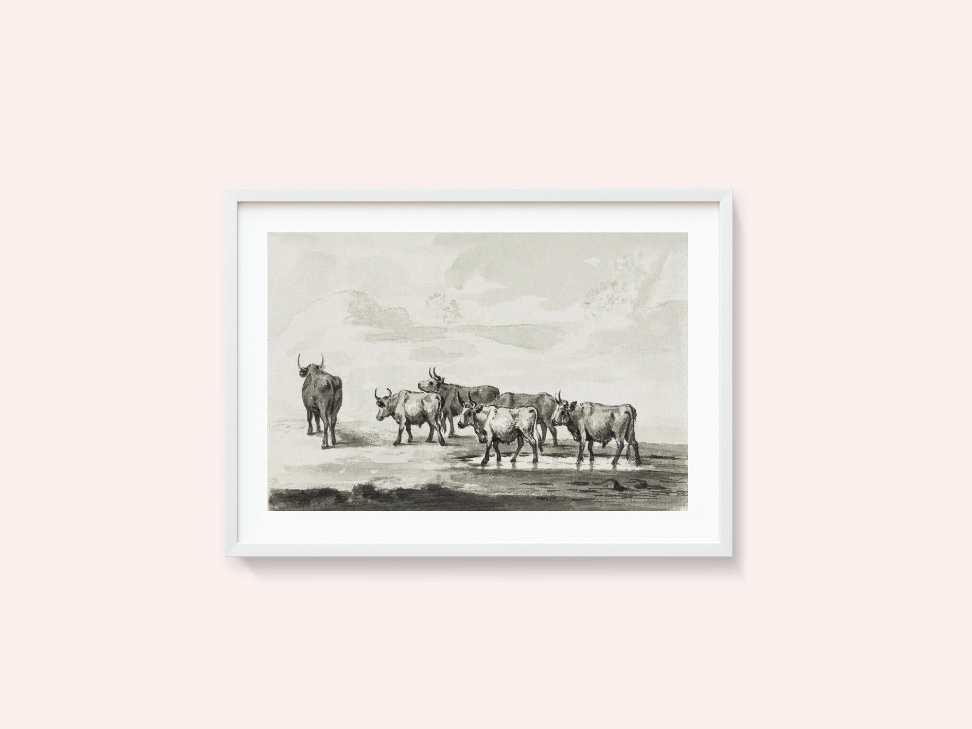 Group of Six Bulls