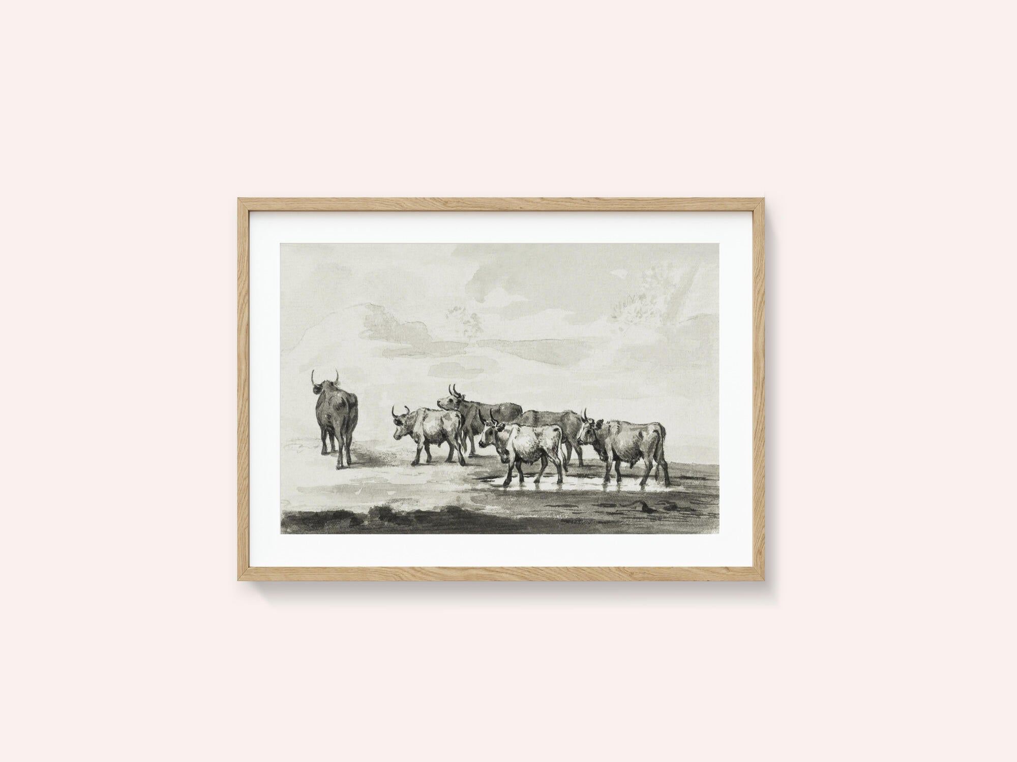 Group of Six Bulls
