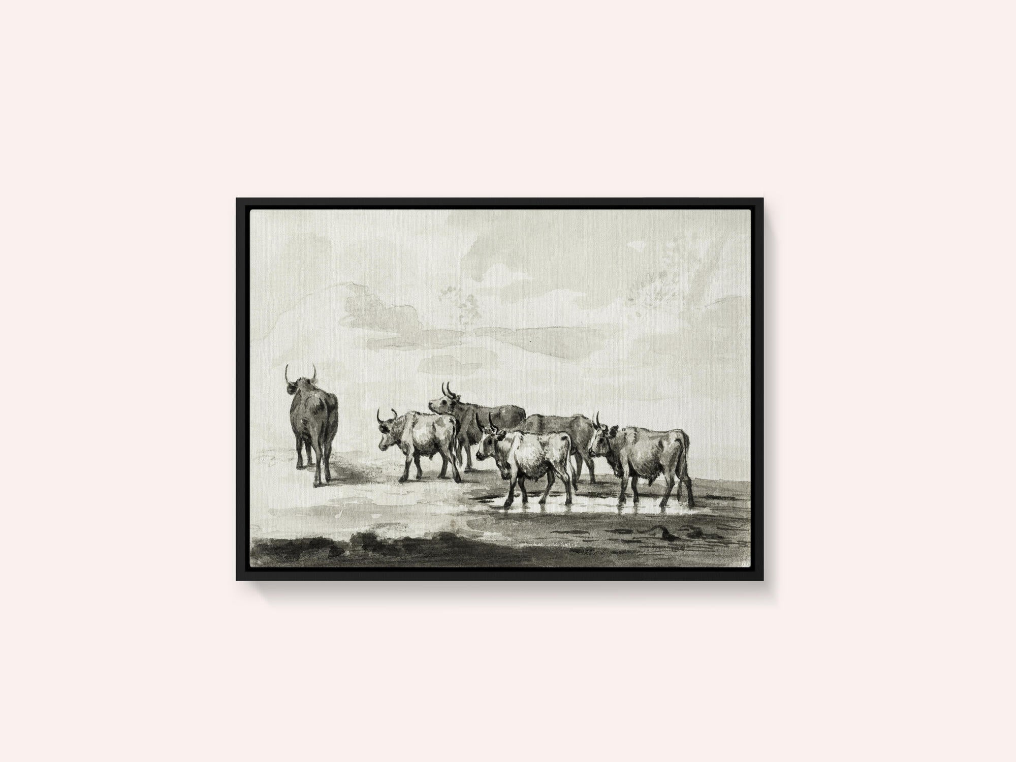 Group of Six Bulls