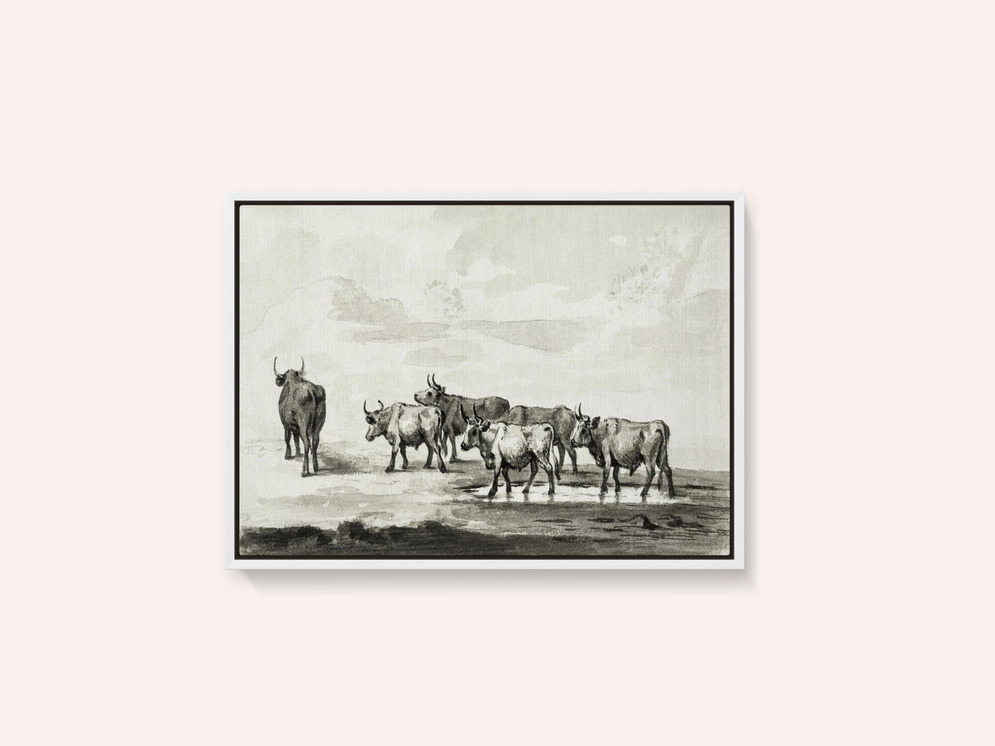 Group of Six Bulls