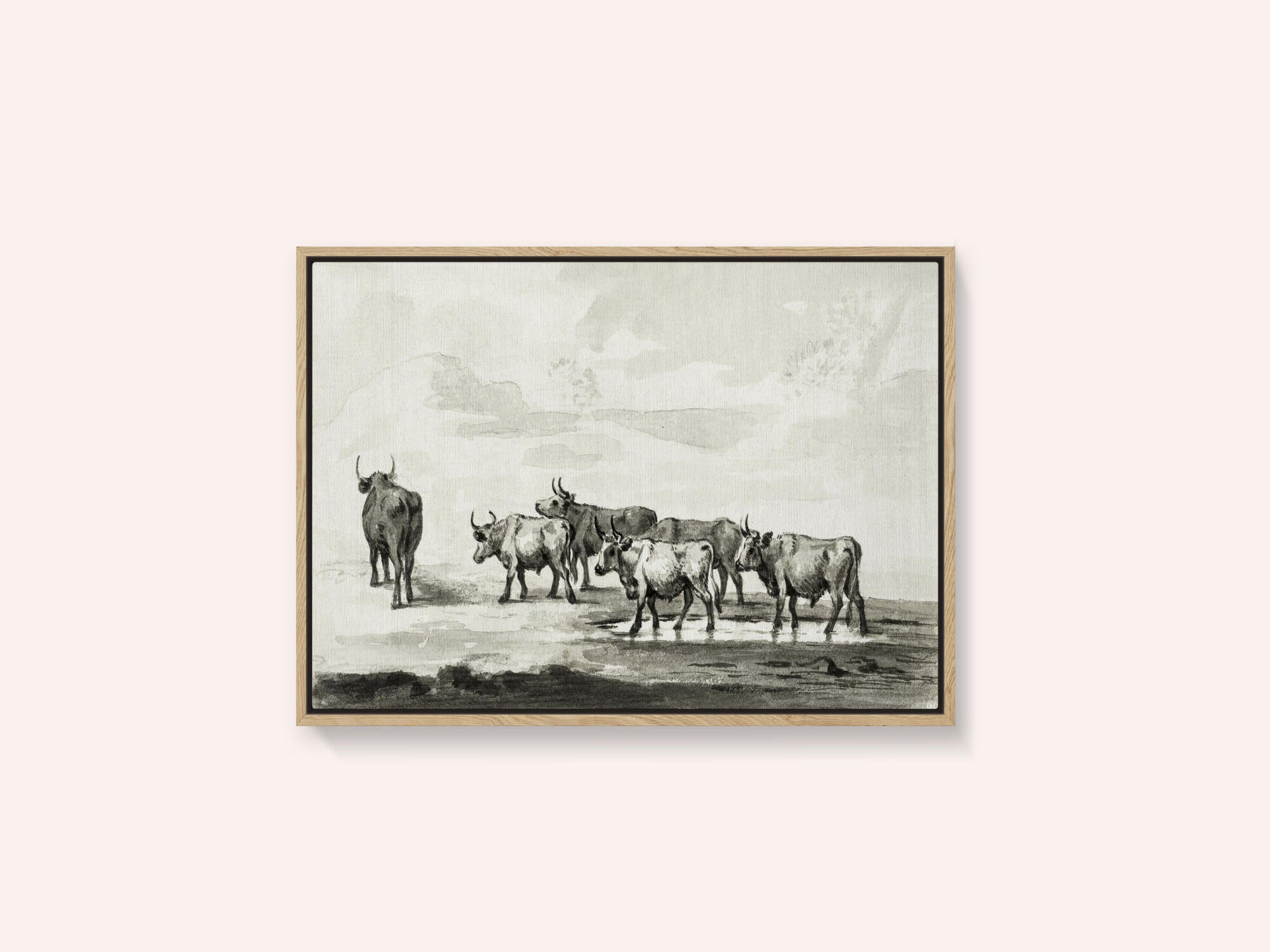 Group of Six Bulls