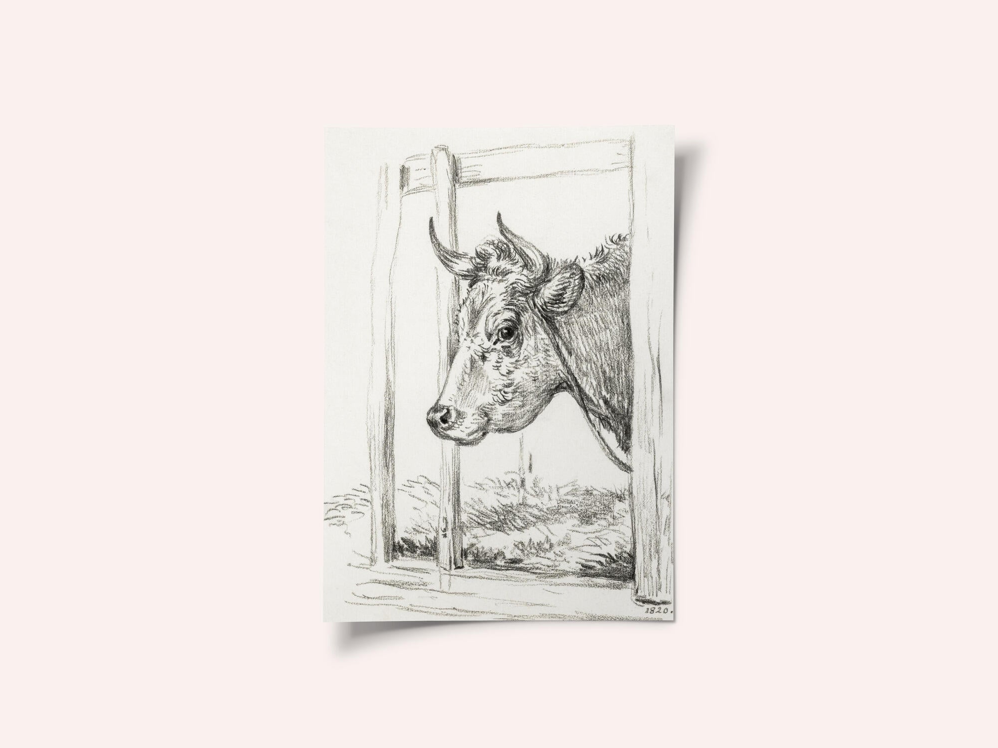 Head of a Cow (1820)