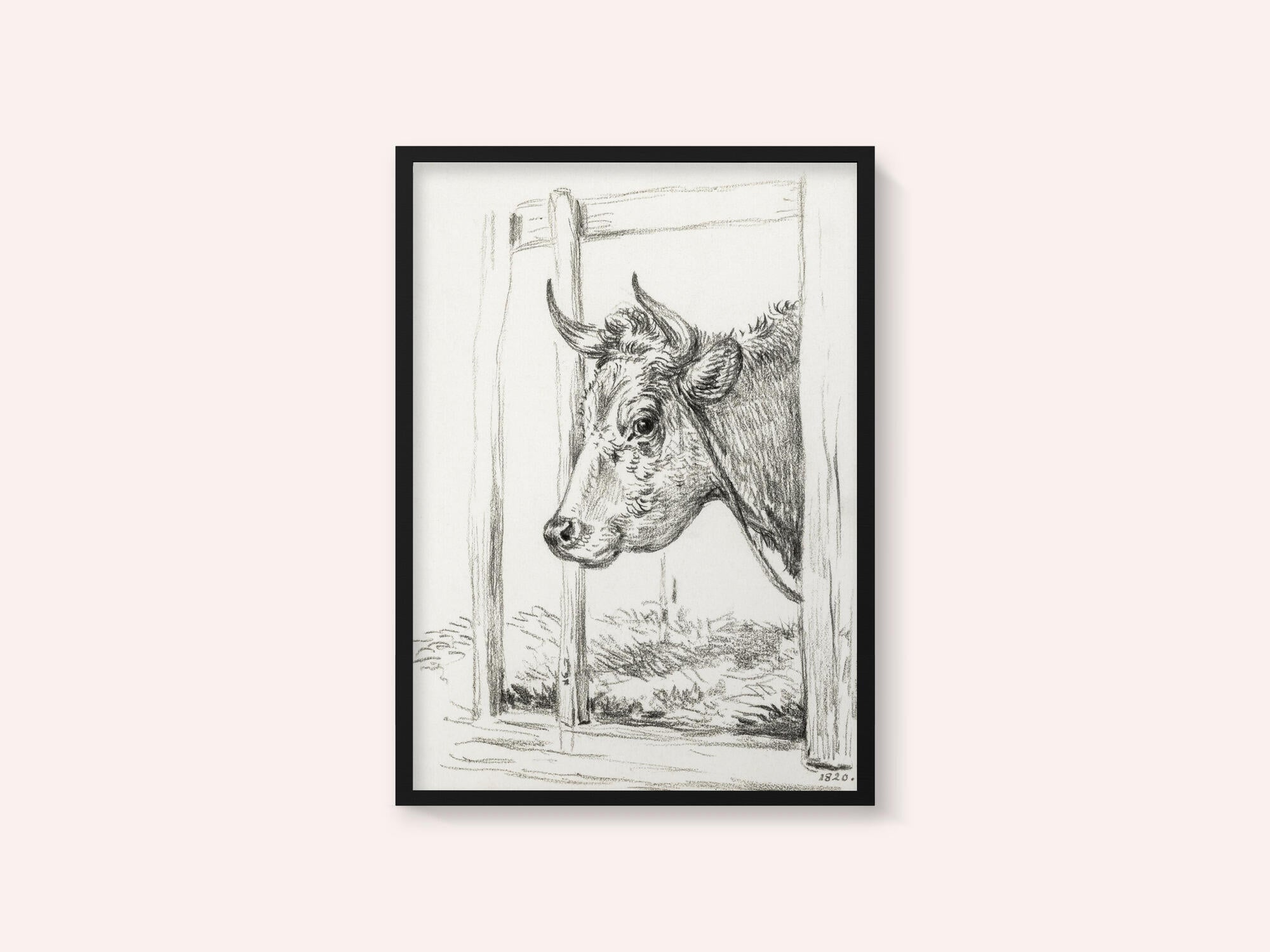 Head of a Cow (1820)