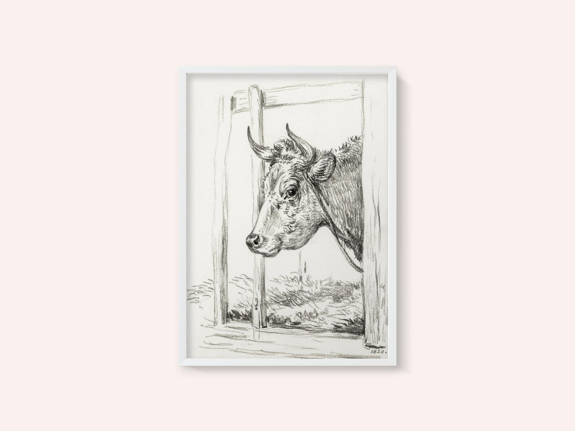 Head of a Cow (1820)