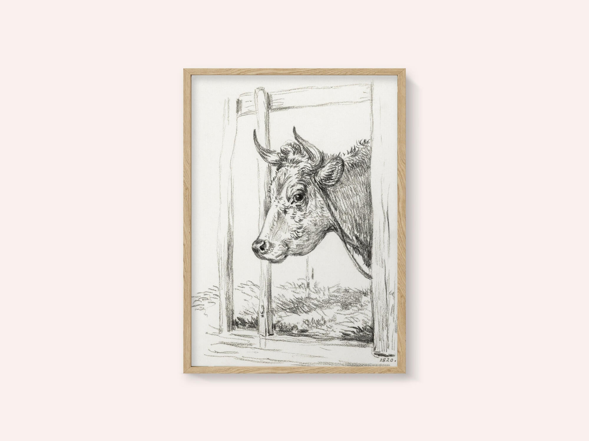 Head of a Cow (1820)