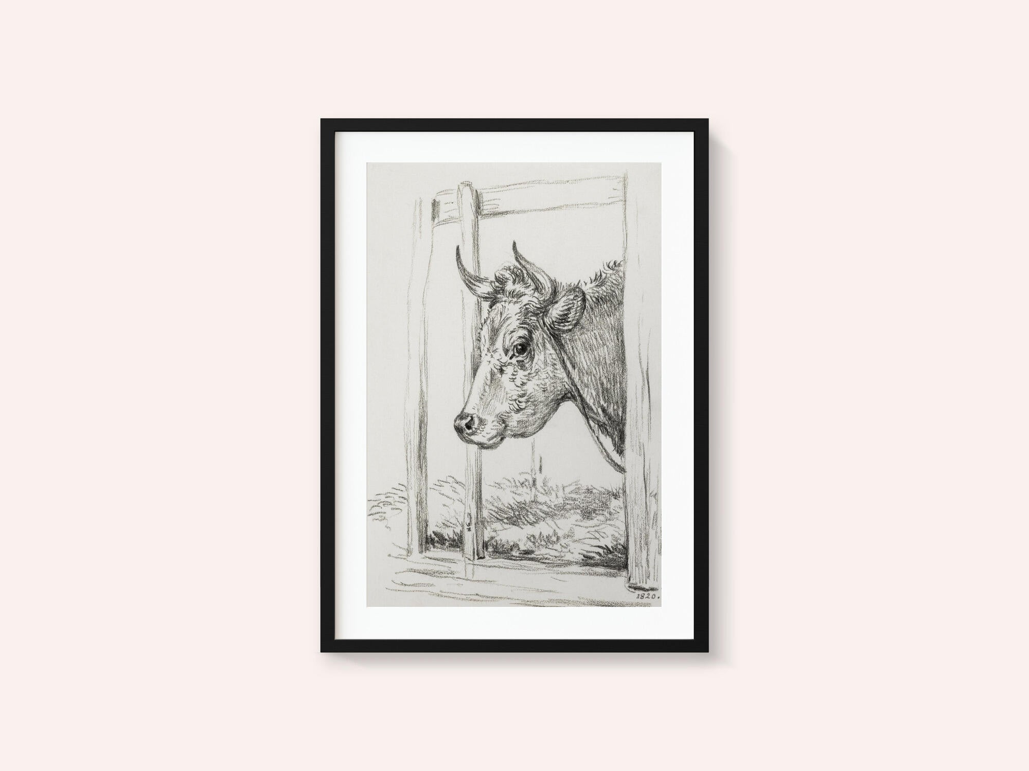 Head of a Cow (1820)
