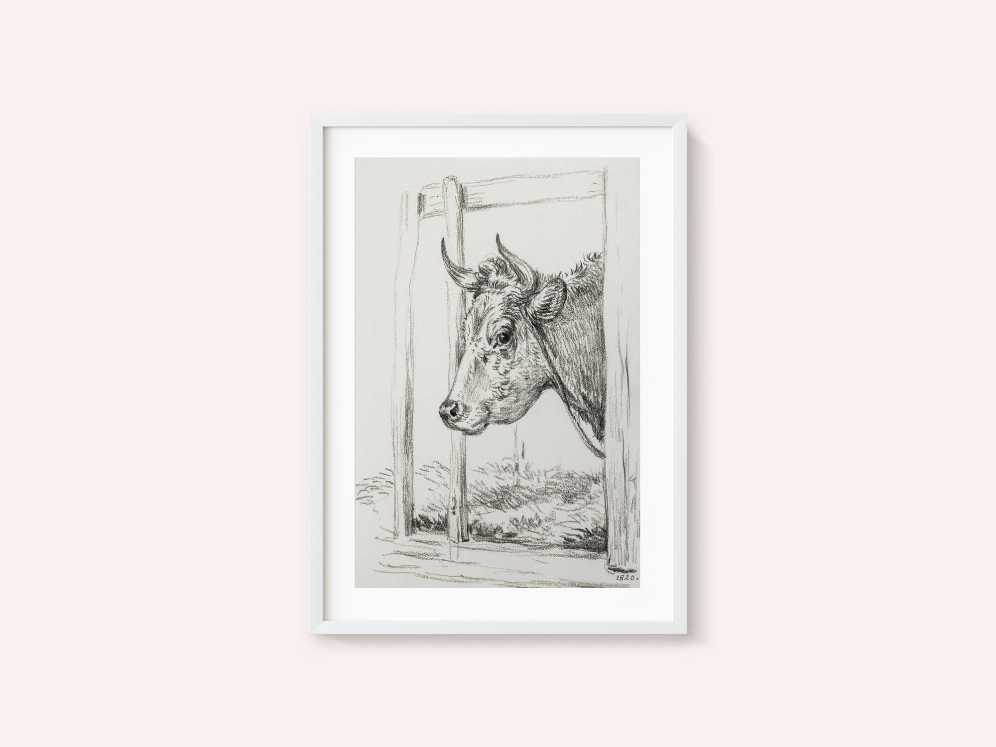 Head of a Cow (1820)
