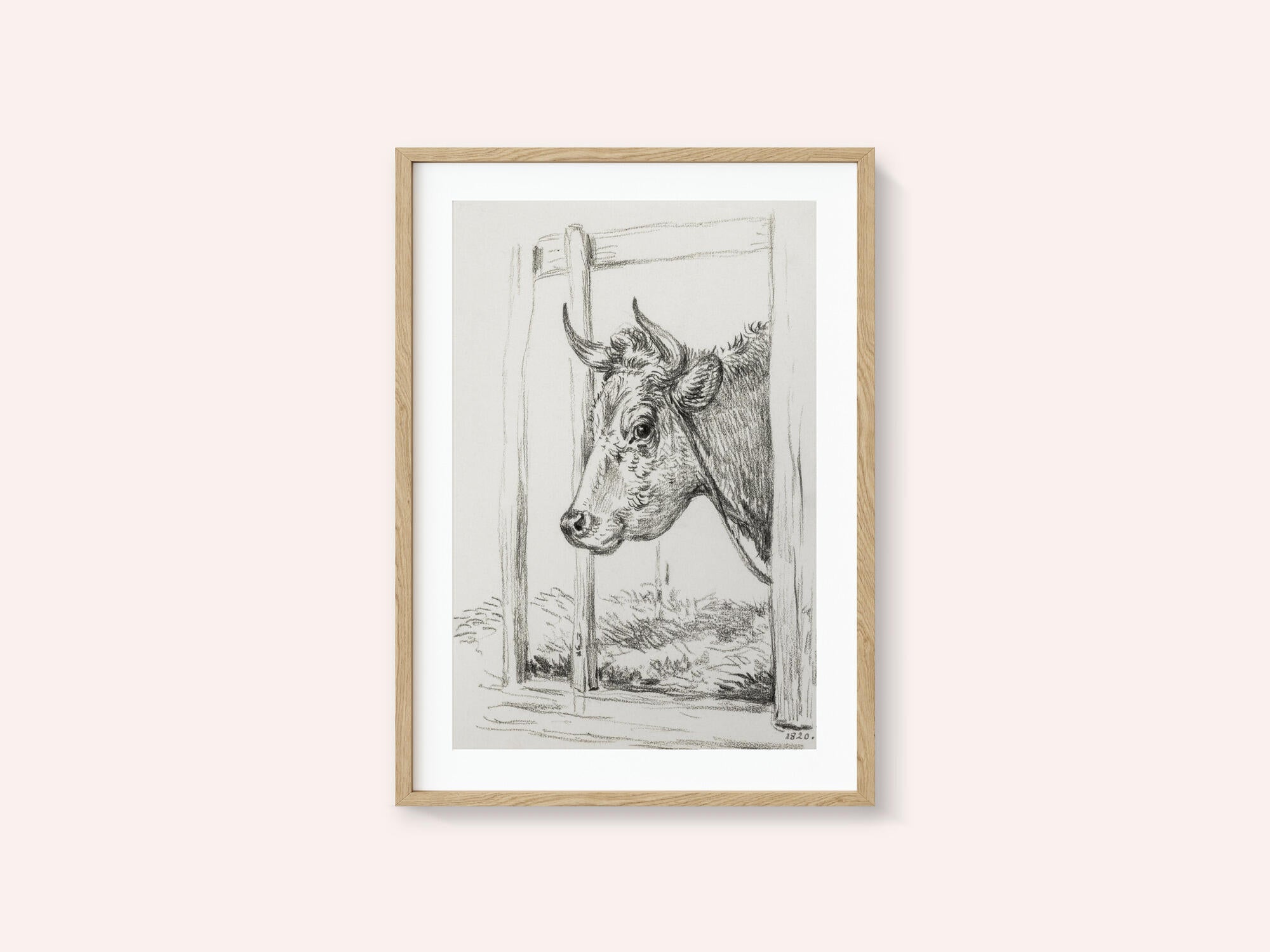 Head of a Cow (1820)