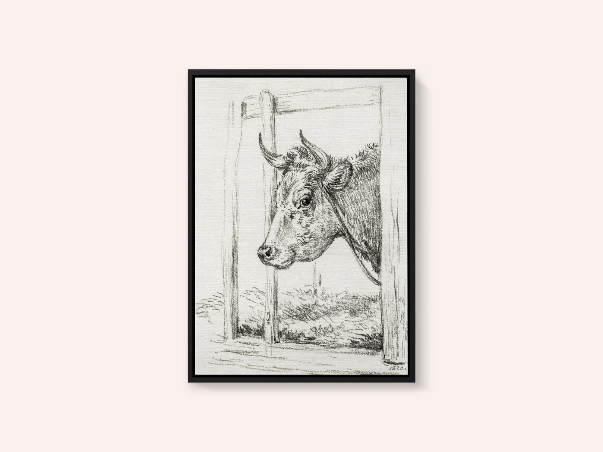 Head of a Cow (1820)