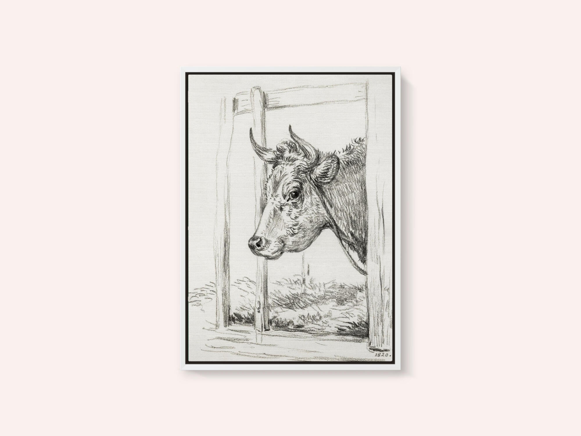 Head of a Cow (1820)