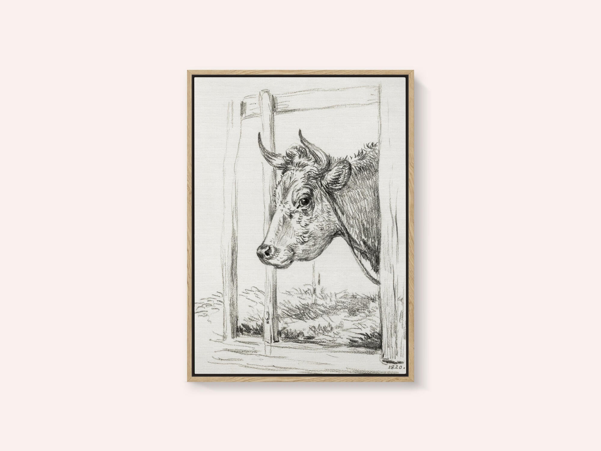 Head of a Cow (1820)