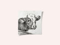 Head of a Cow