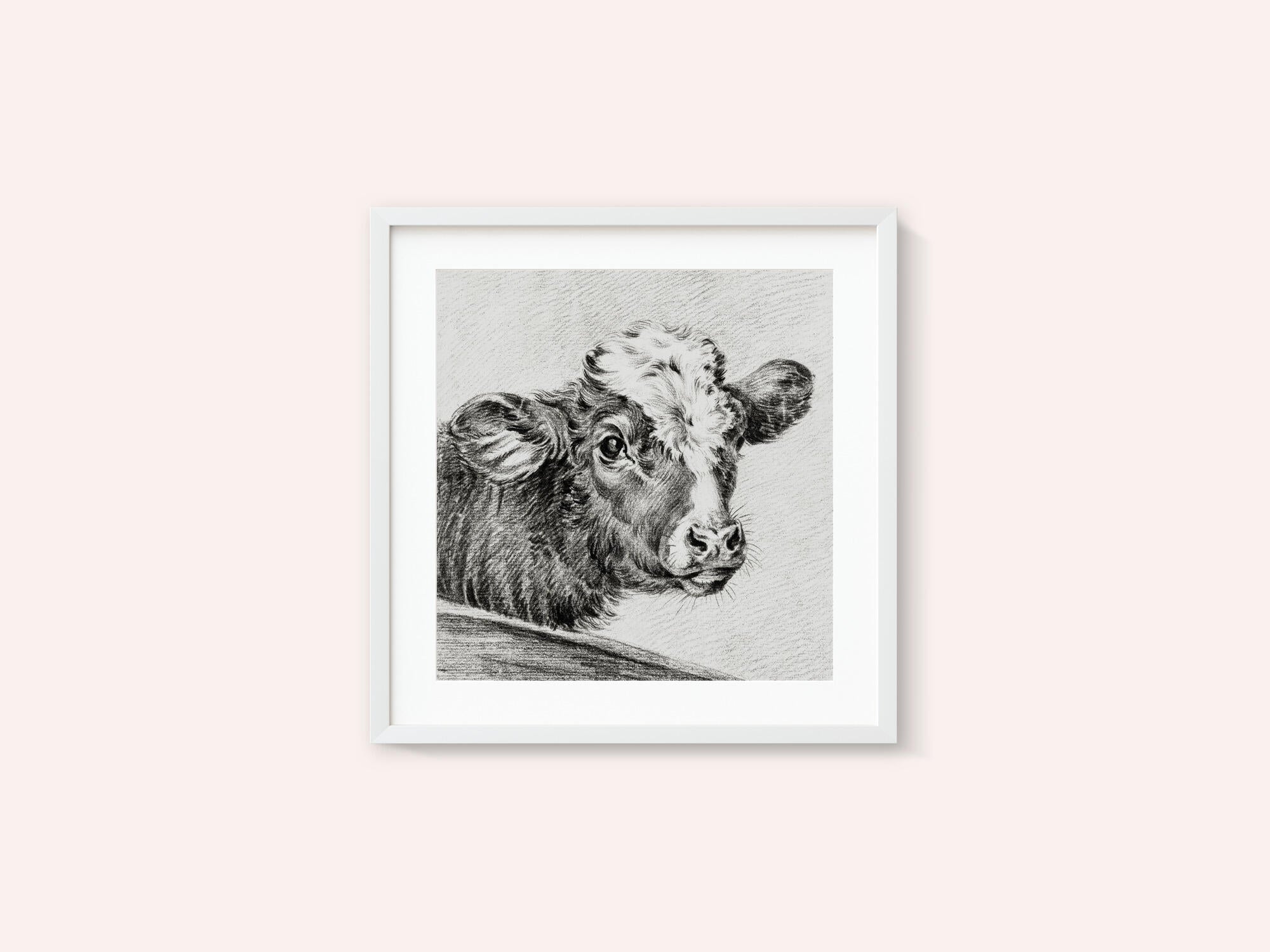 Head of a Cow