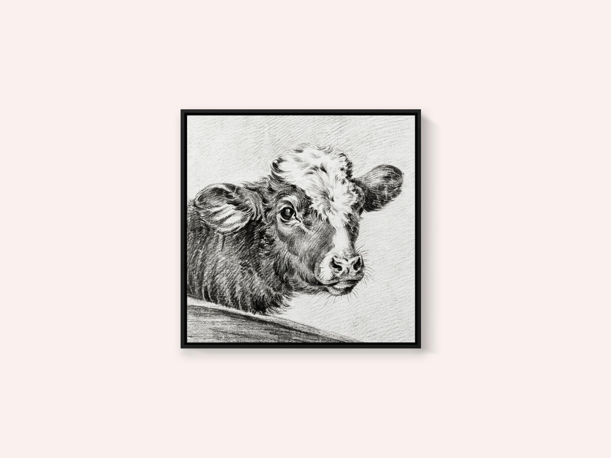 Head of a Cow