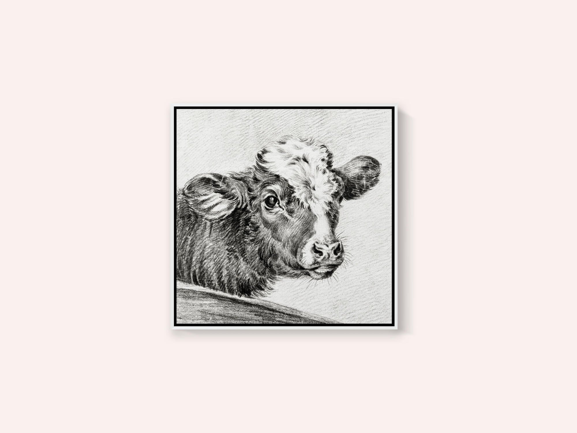 Head of a Cow