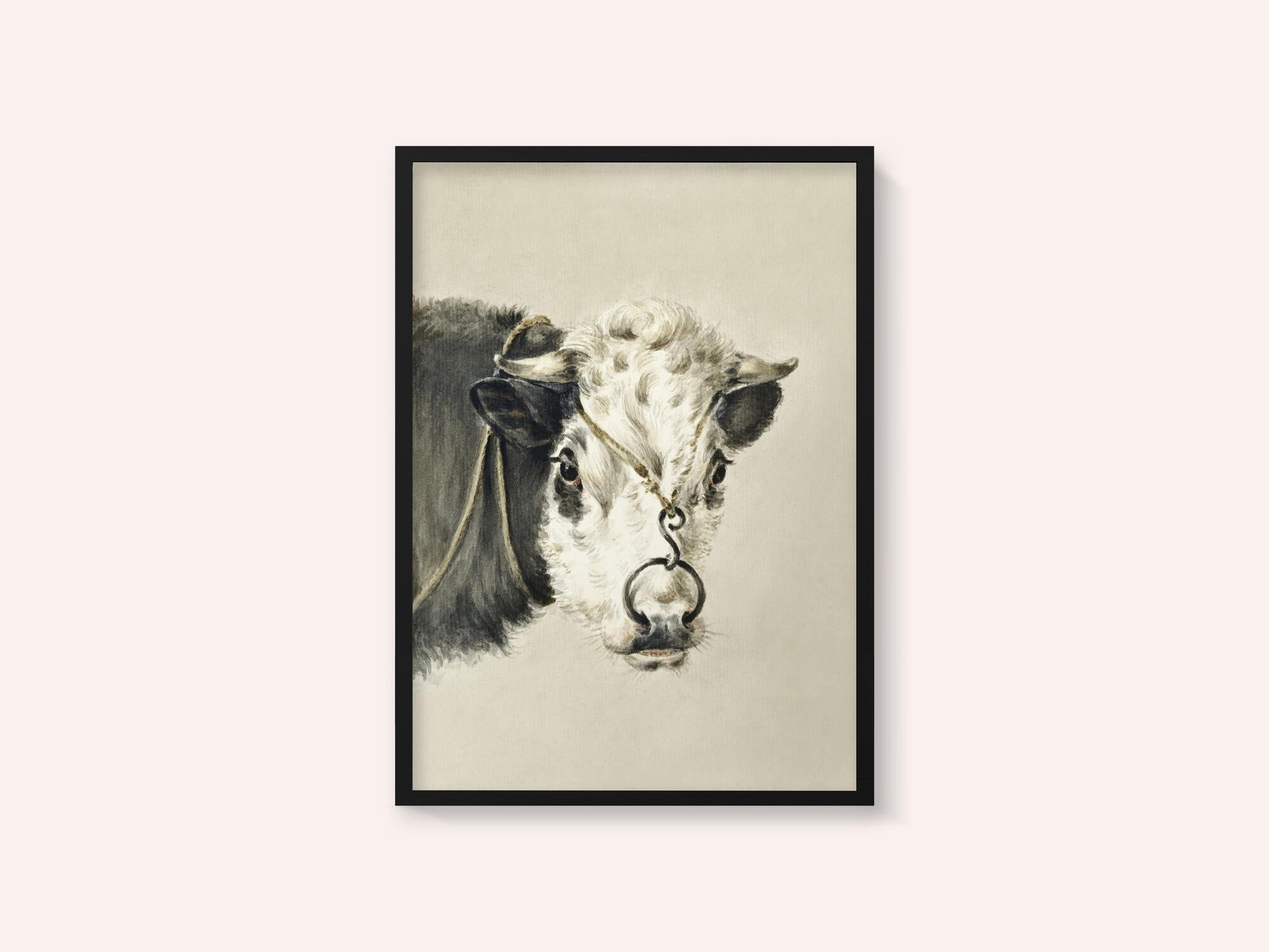 Head of a Cow, With a Ring Through the Nose (1820)