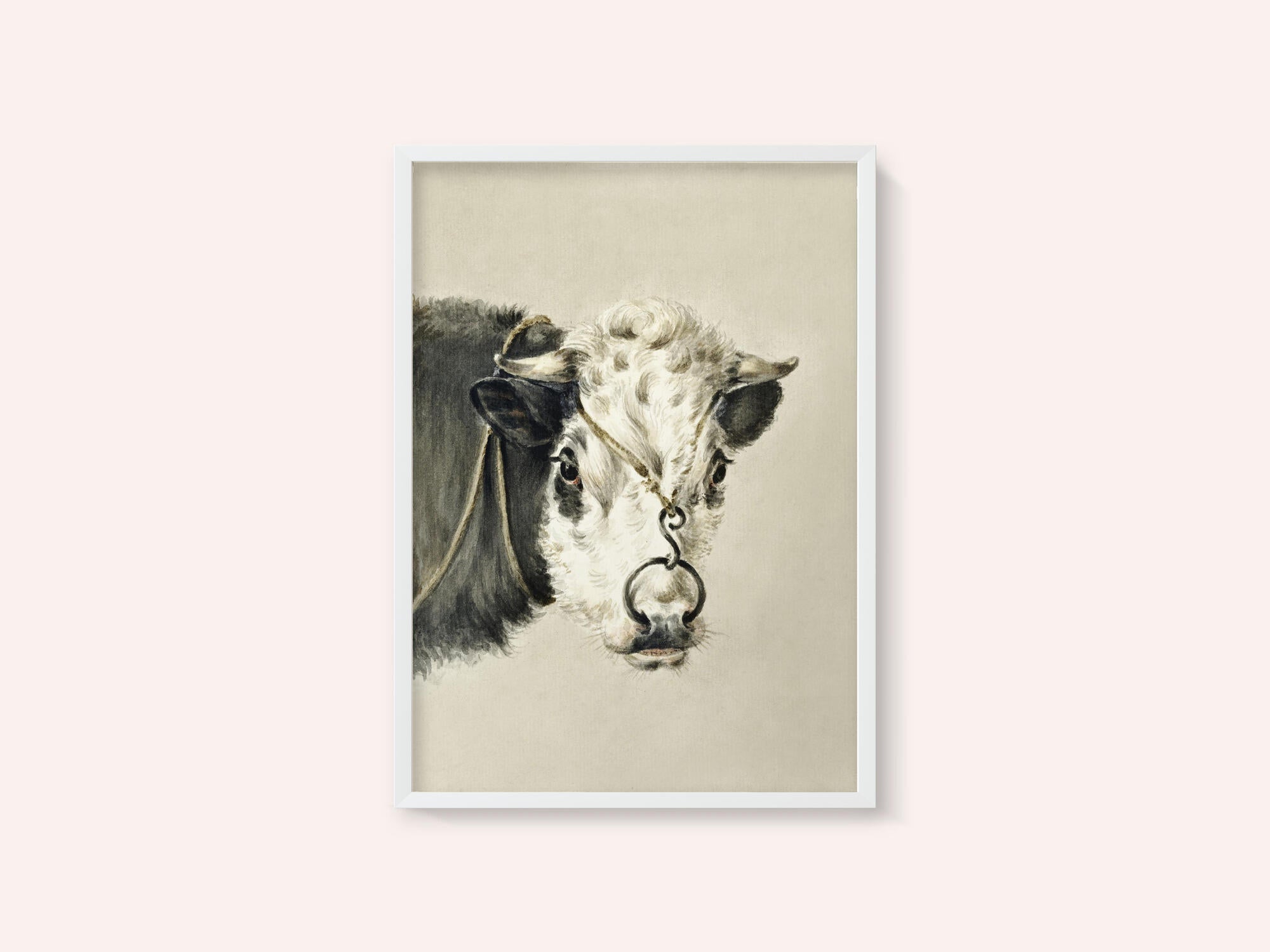 Head of a Cow, With a Ring Through the Nose (1820)