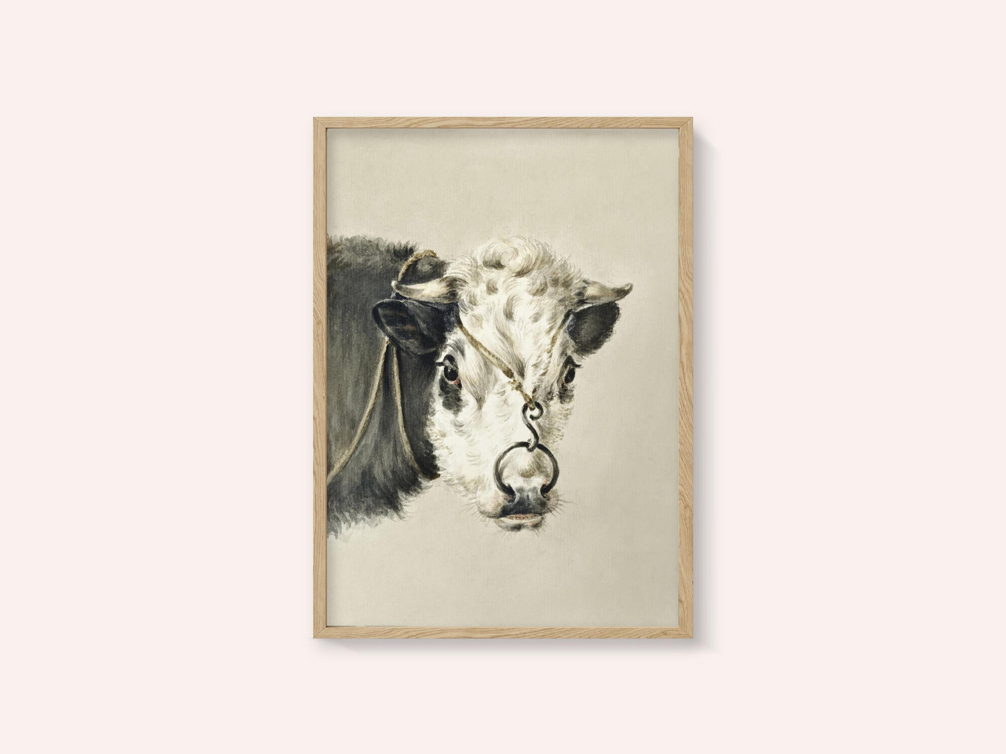 Head of a Cow, With a Ring Through the Nose (1820)