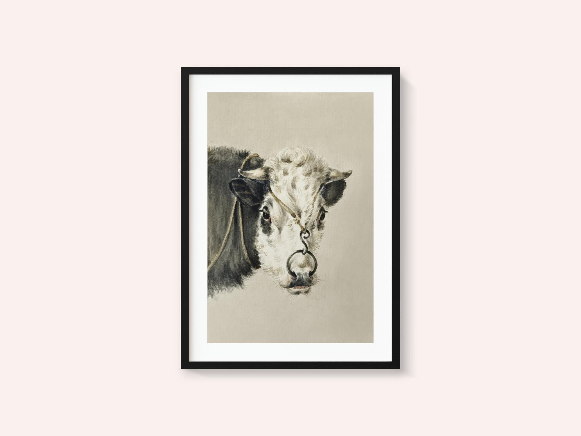 Head of a Cow, With a Ring Through the Nose (1820)