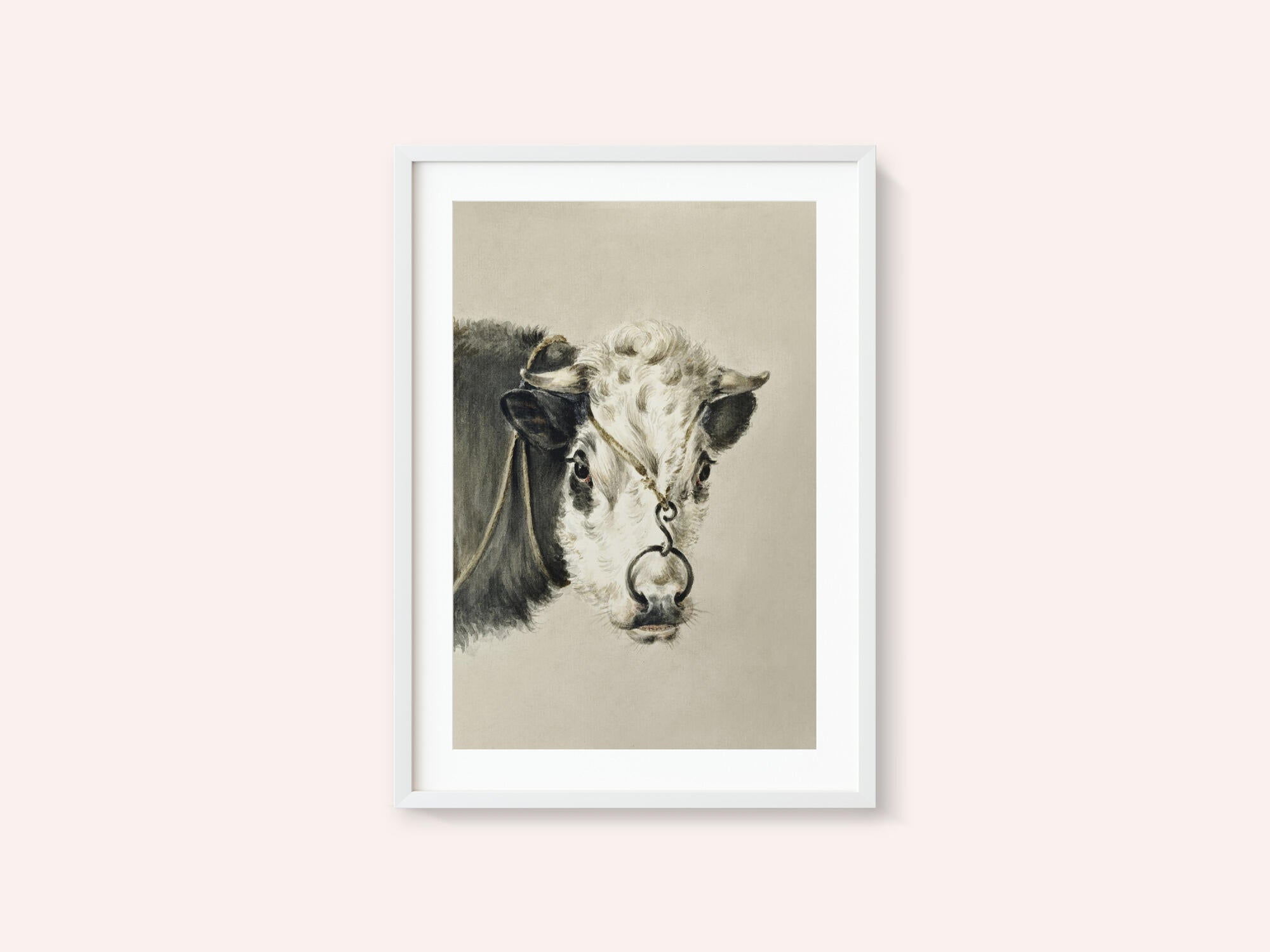 Head of a Cow, With a Ring Through the Nose (1820)