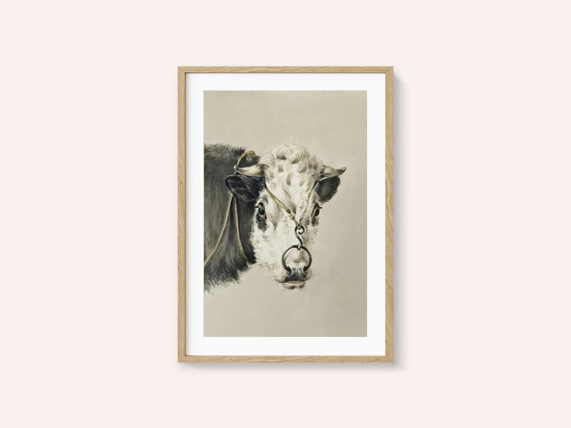 Head of a Cow, With a Ring Through the Nose (1820)