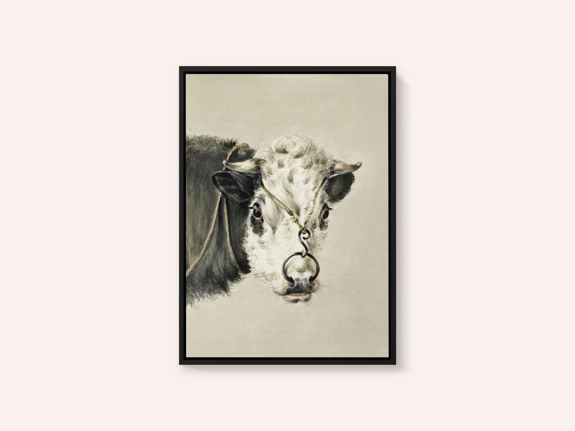 Head of a Cow, With a Ring Through the Nose (1820)