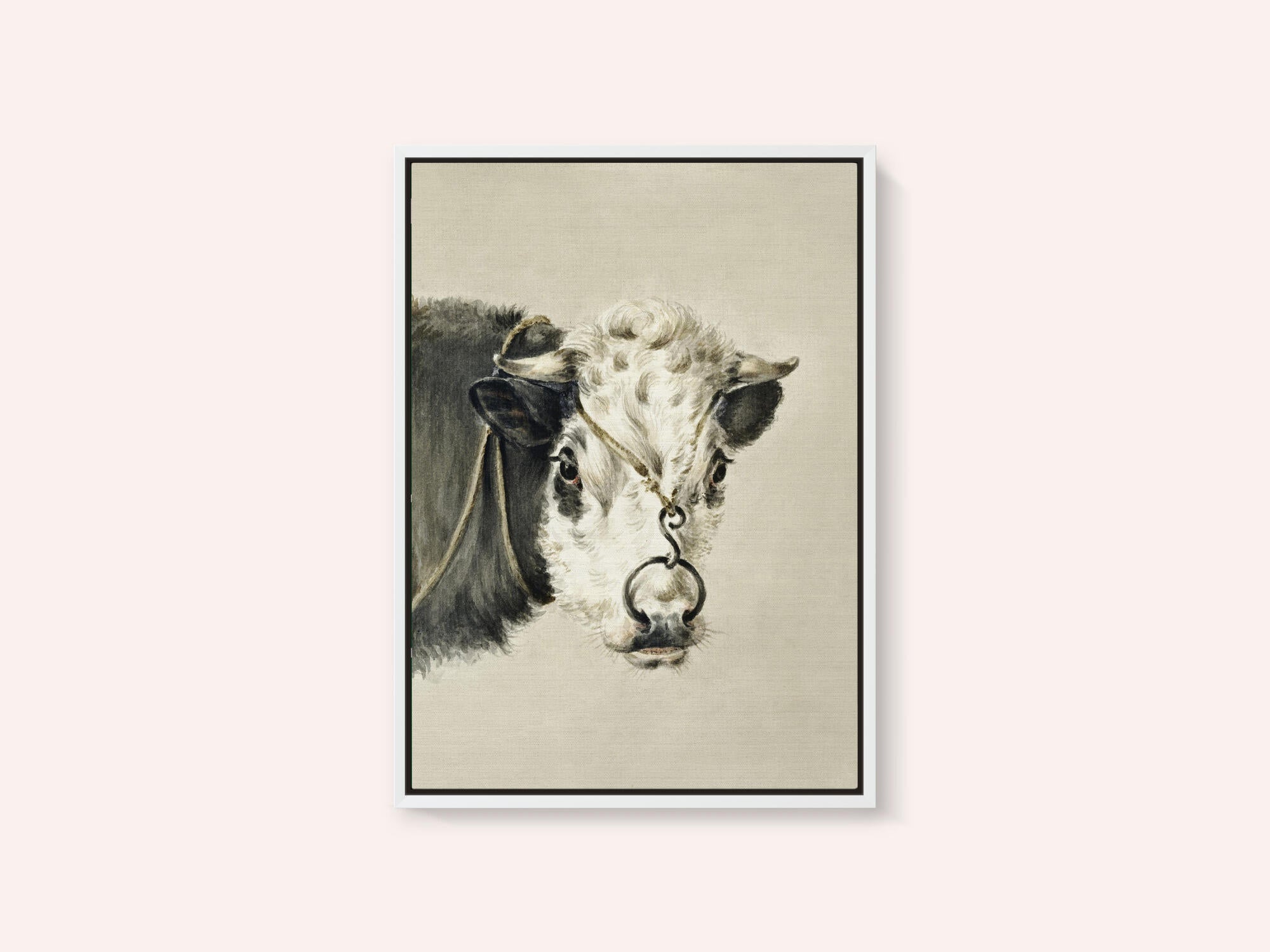 Head of a Cow, With a Ring Through the Nose (1820)