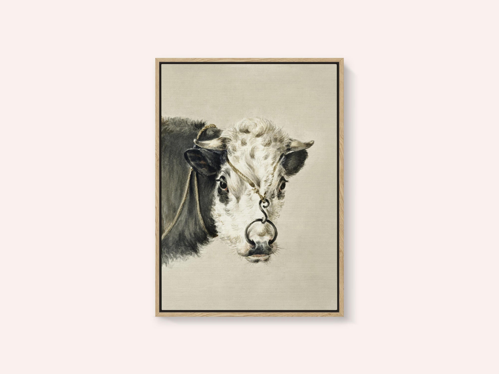 Head of a Cow, With a Ring Through the Nose (1820)