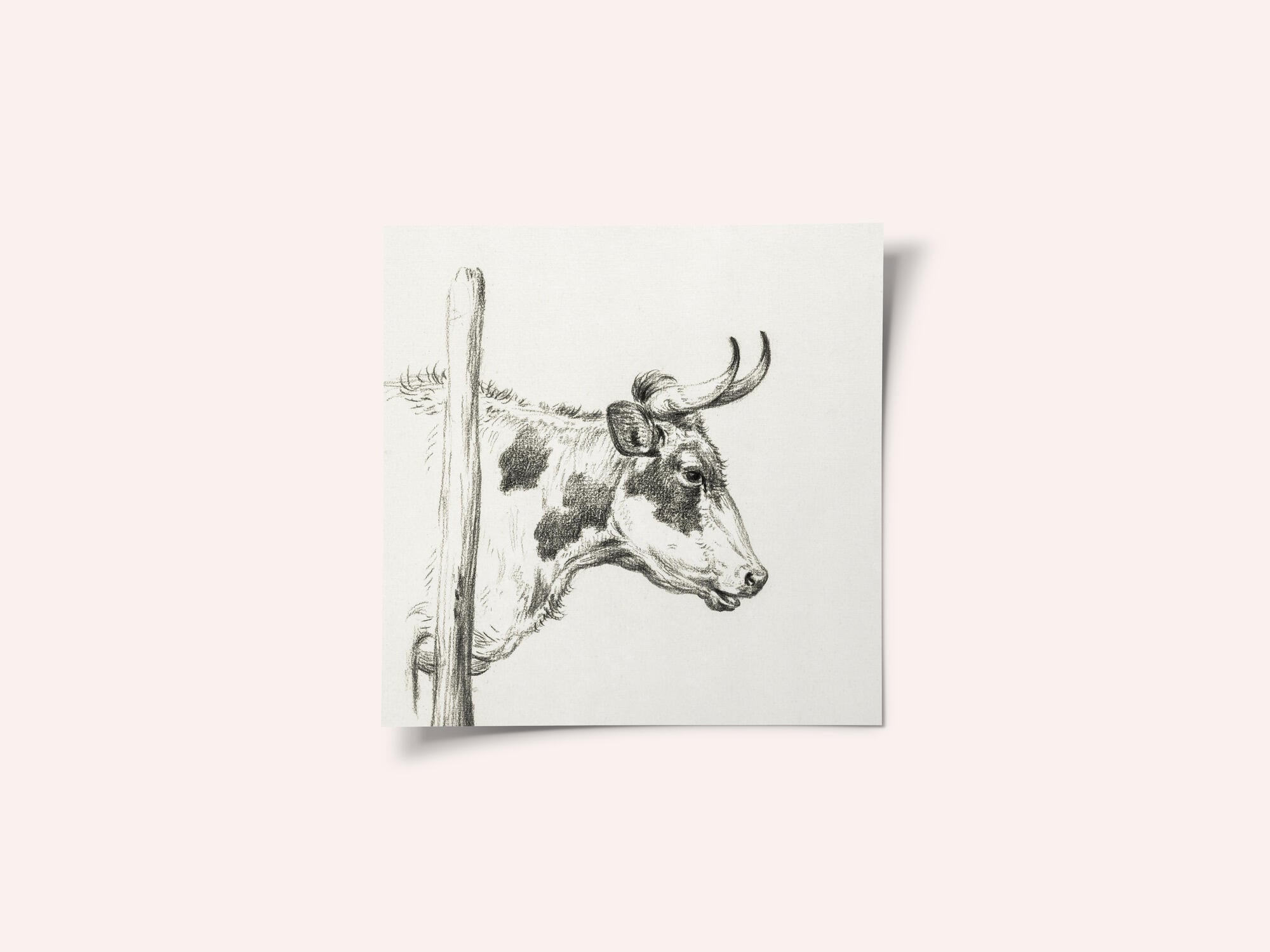 Head of a Cow, To the Right (1820)