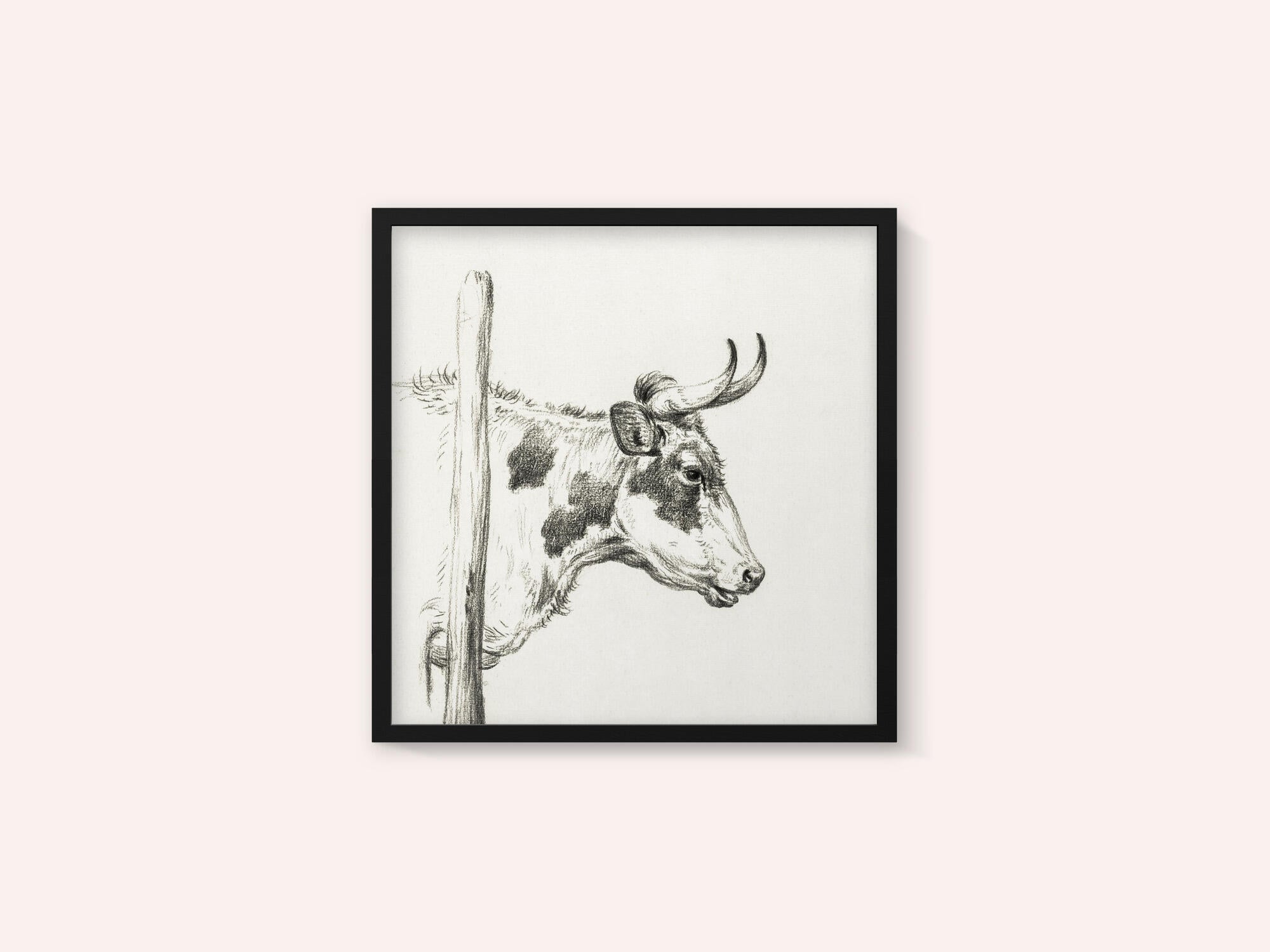Head of a Cow, To the Right (1820)