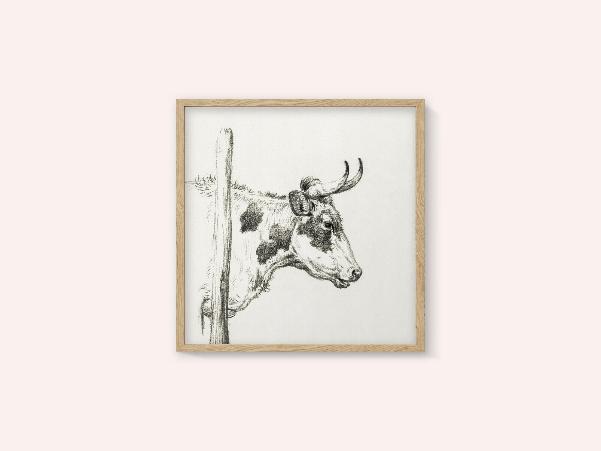 Head of a Cow, To the Right (1820)