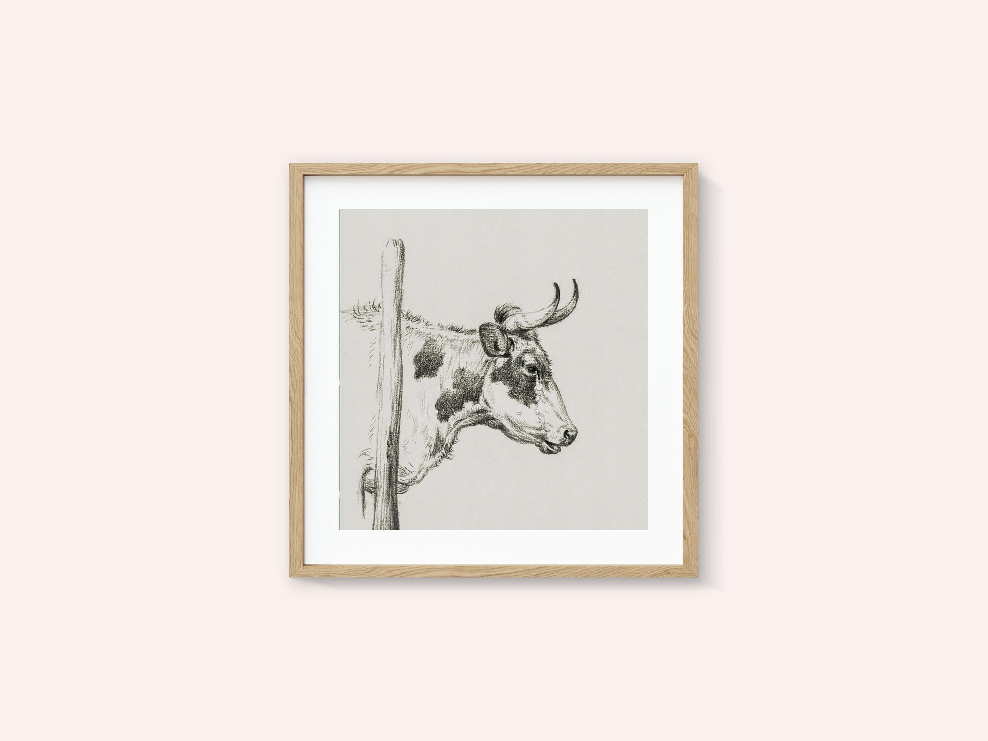 Head of a Cow, To the Right (1820)