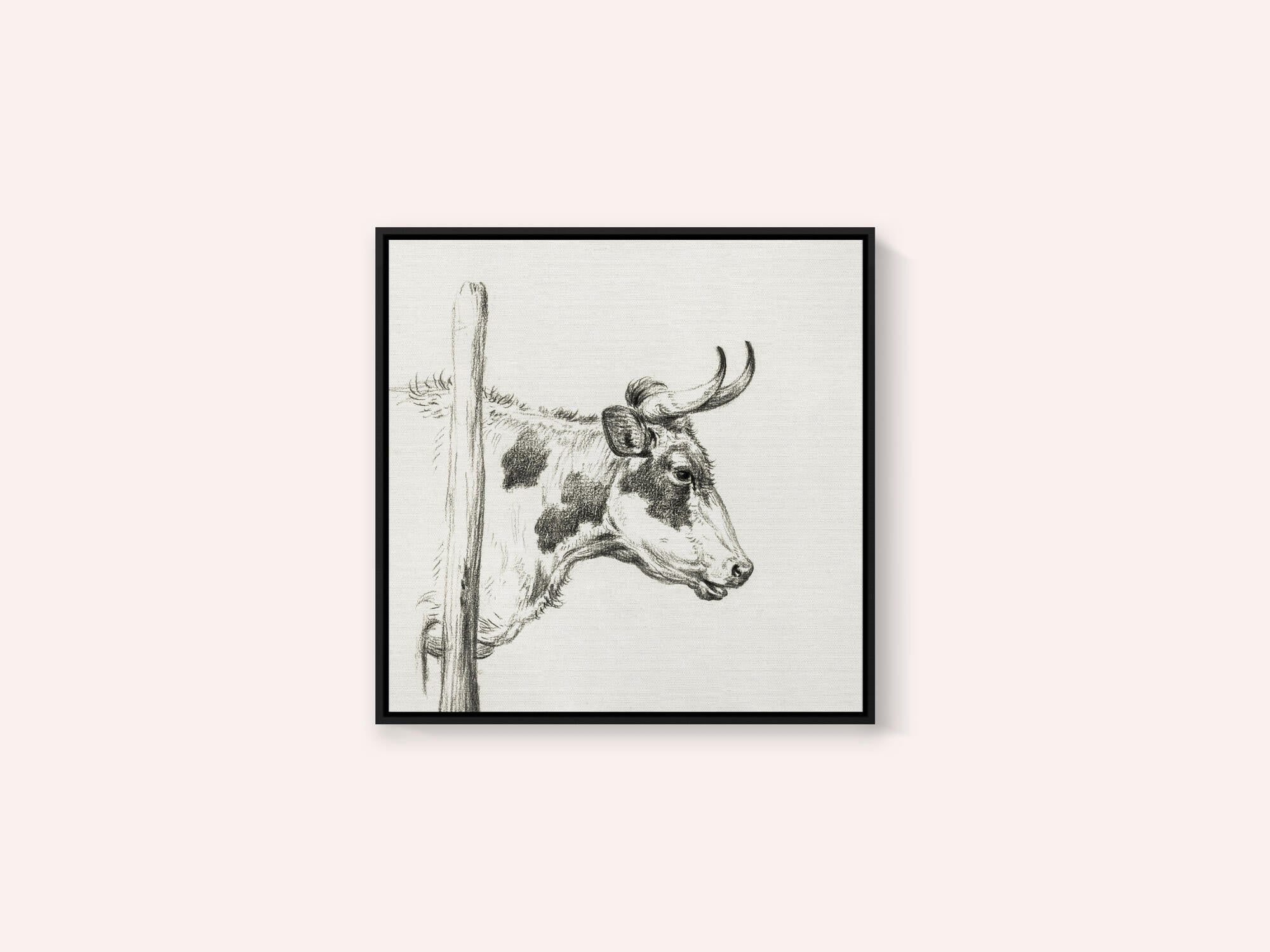 Head of a Cow, To the Right (1820)
