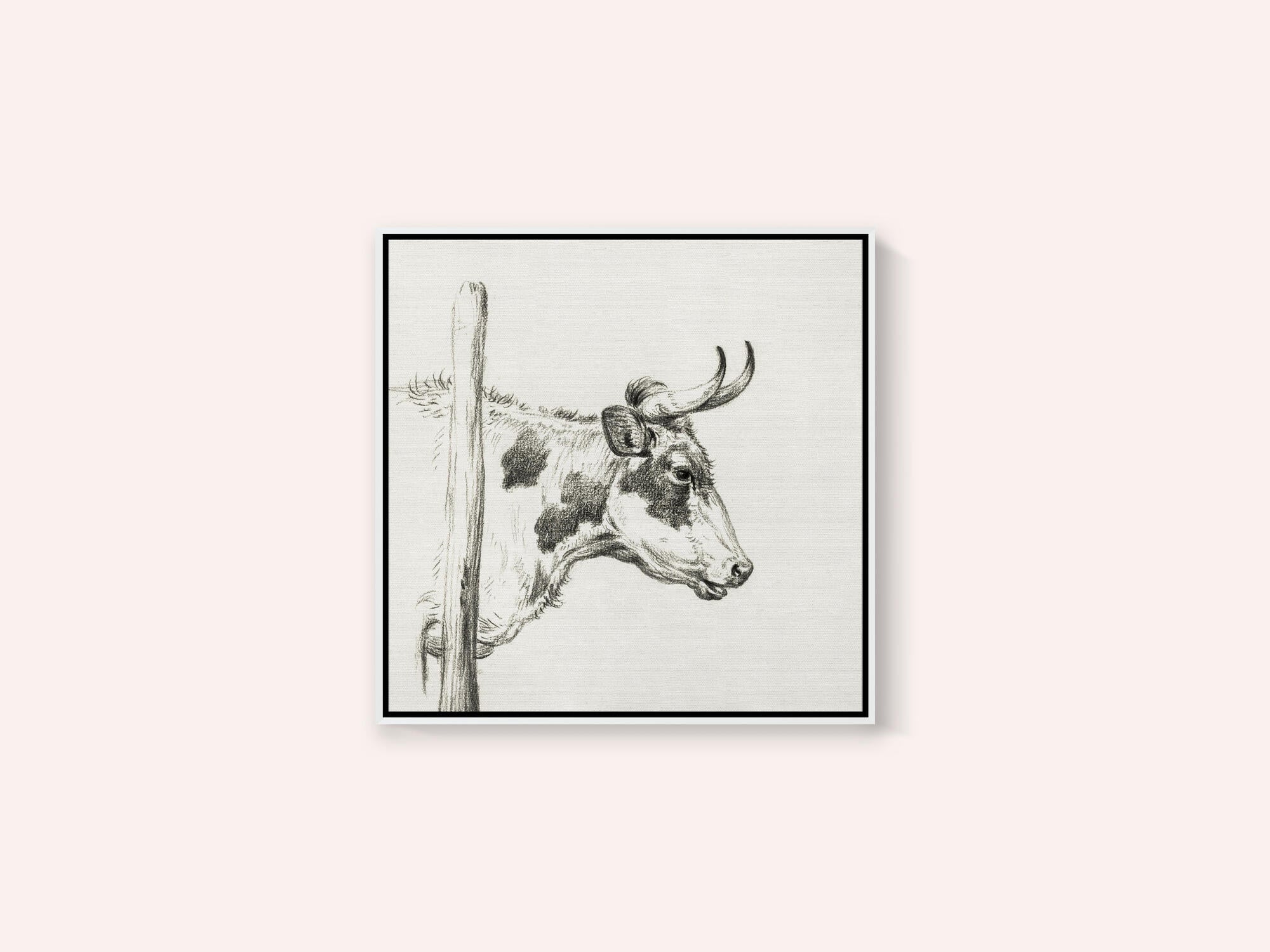 Head of a Cow, To the Right (1820)