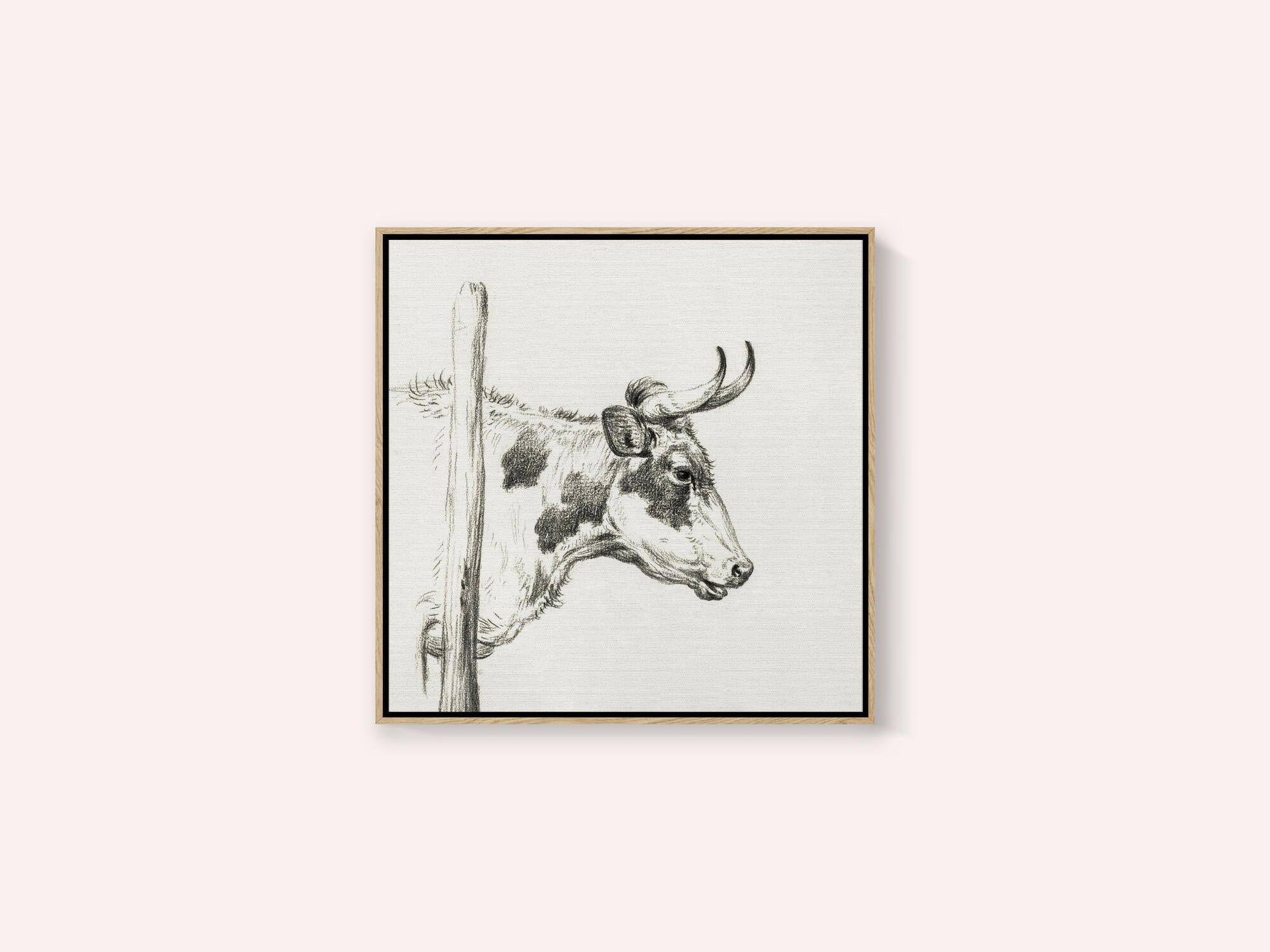 Head of a Cow, To the Right (1820)