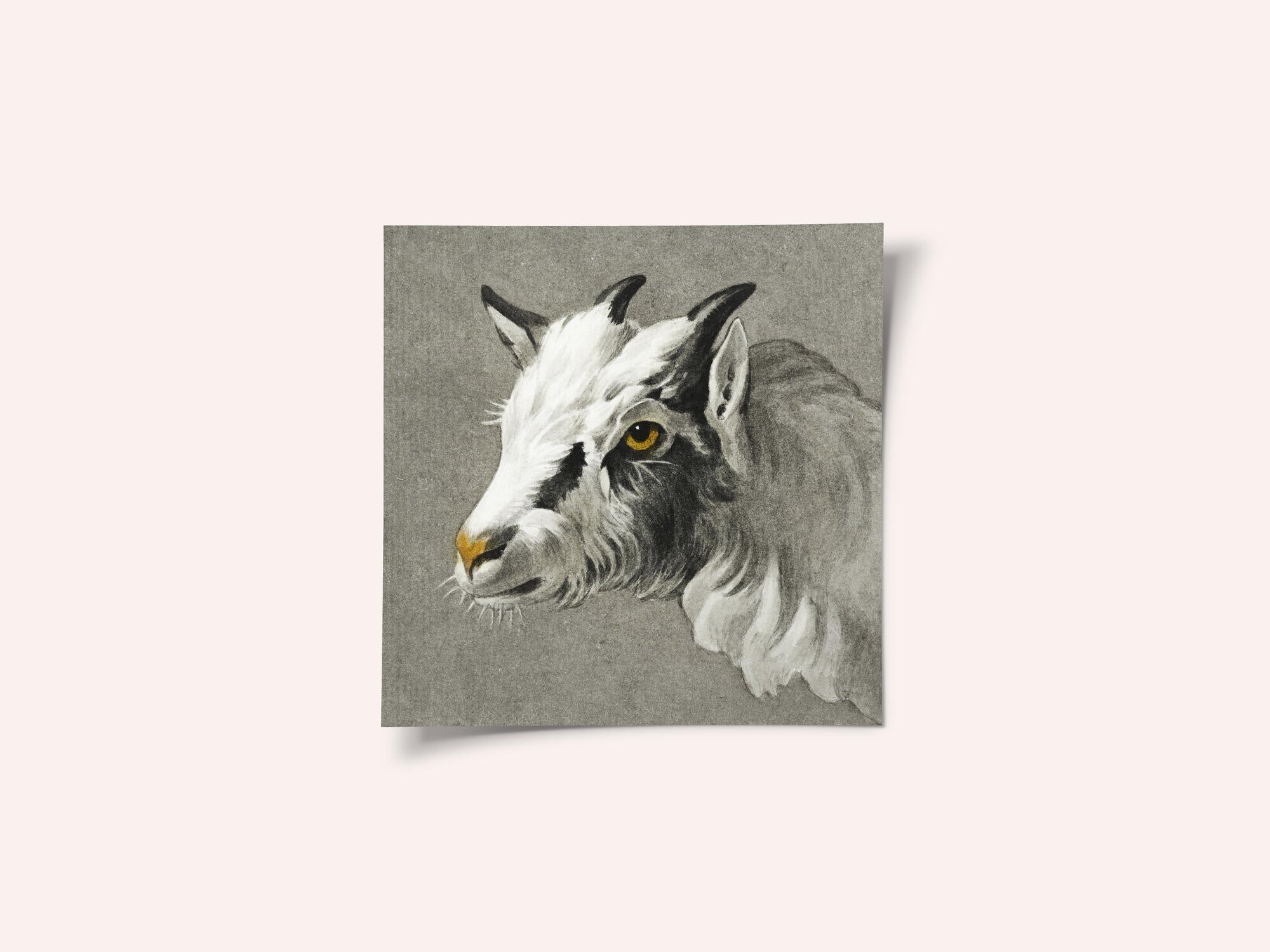 Head of a Goat