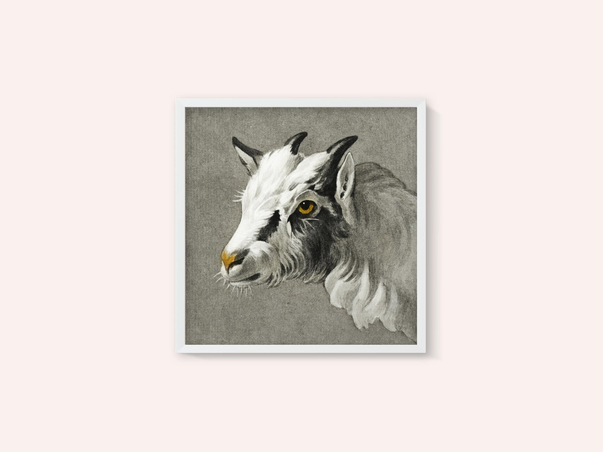 Head of a Goat