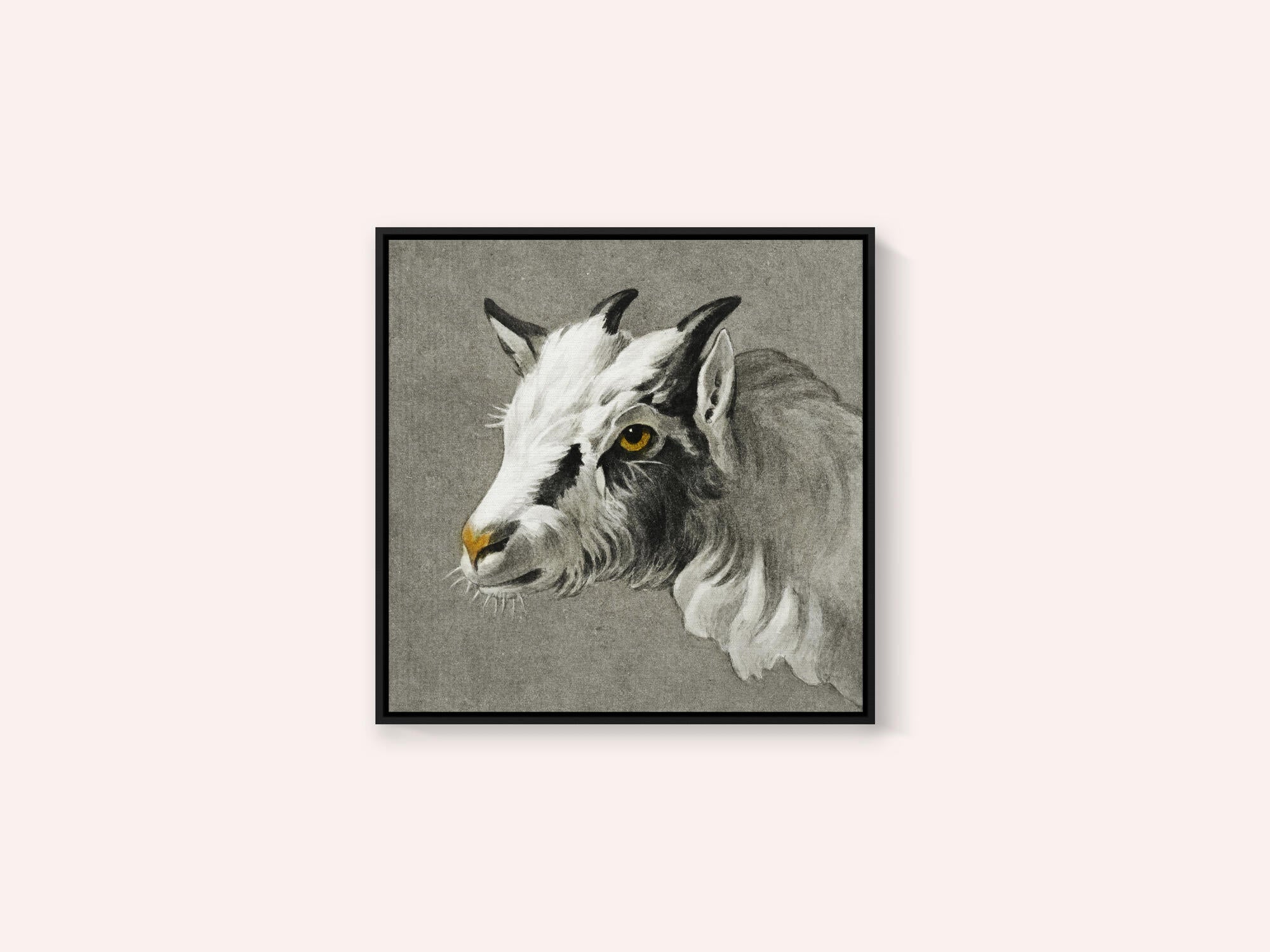 Head of a Goat