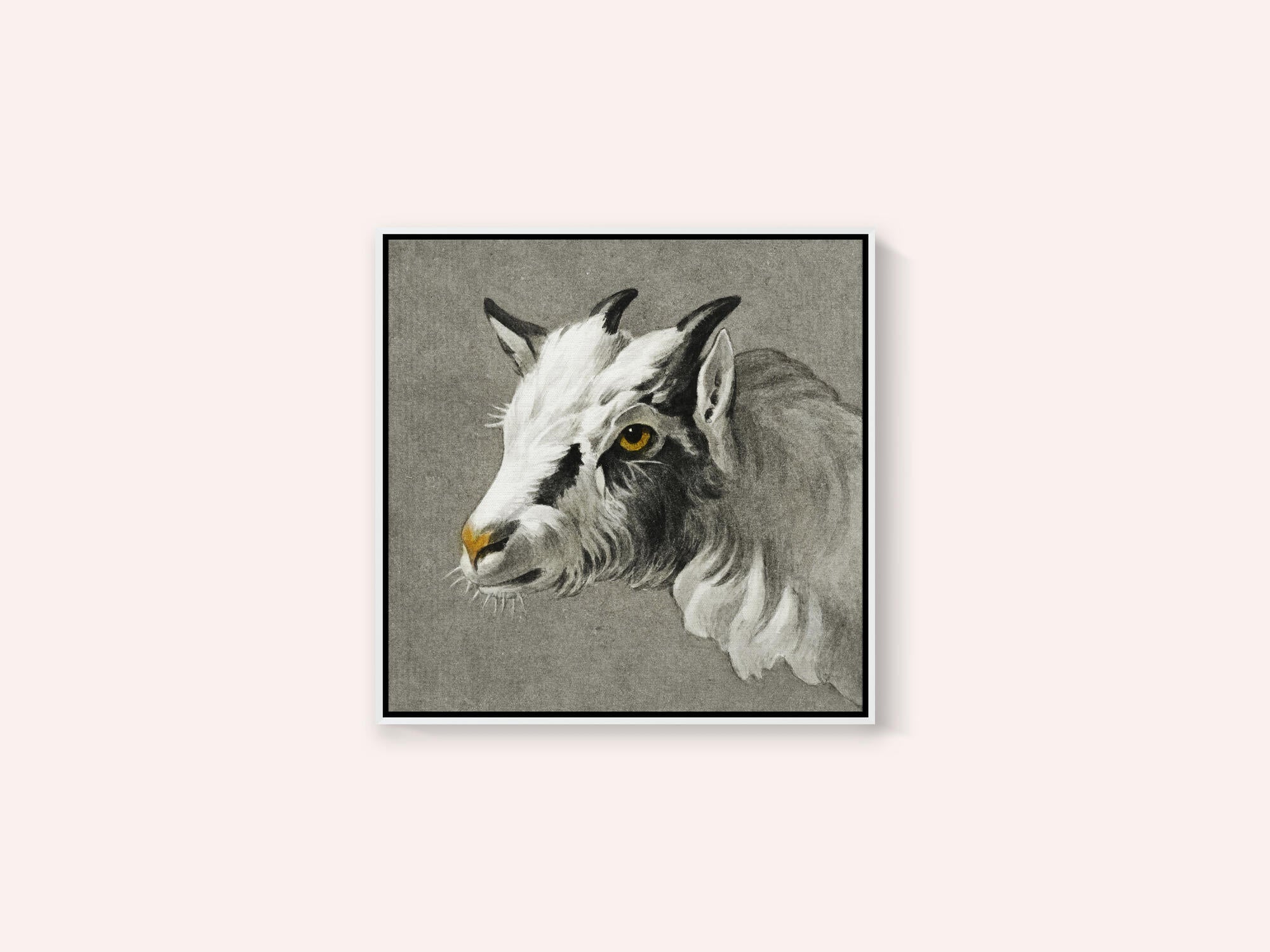 Head of a Goat