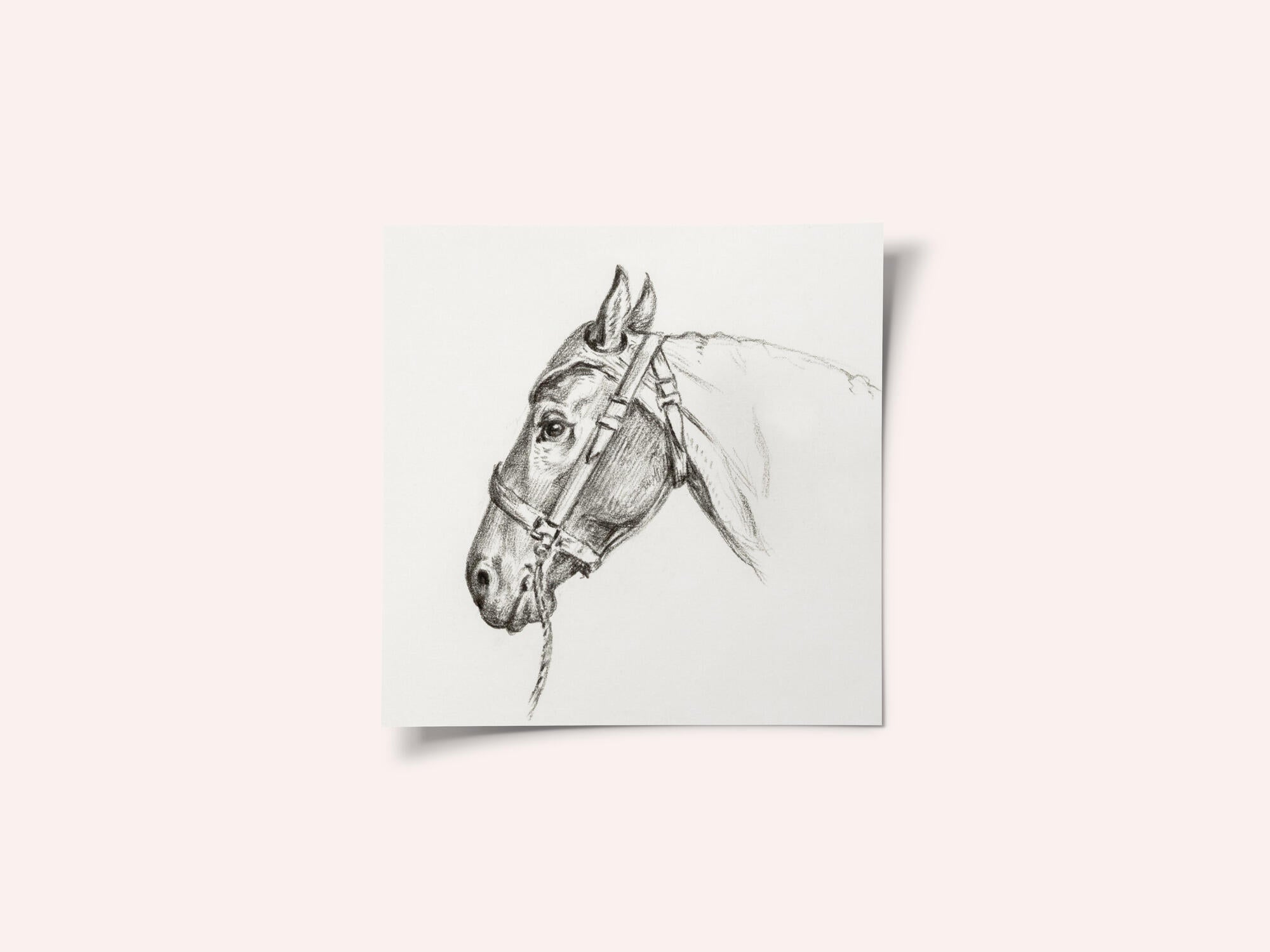 Head of a Horse (1818)