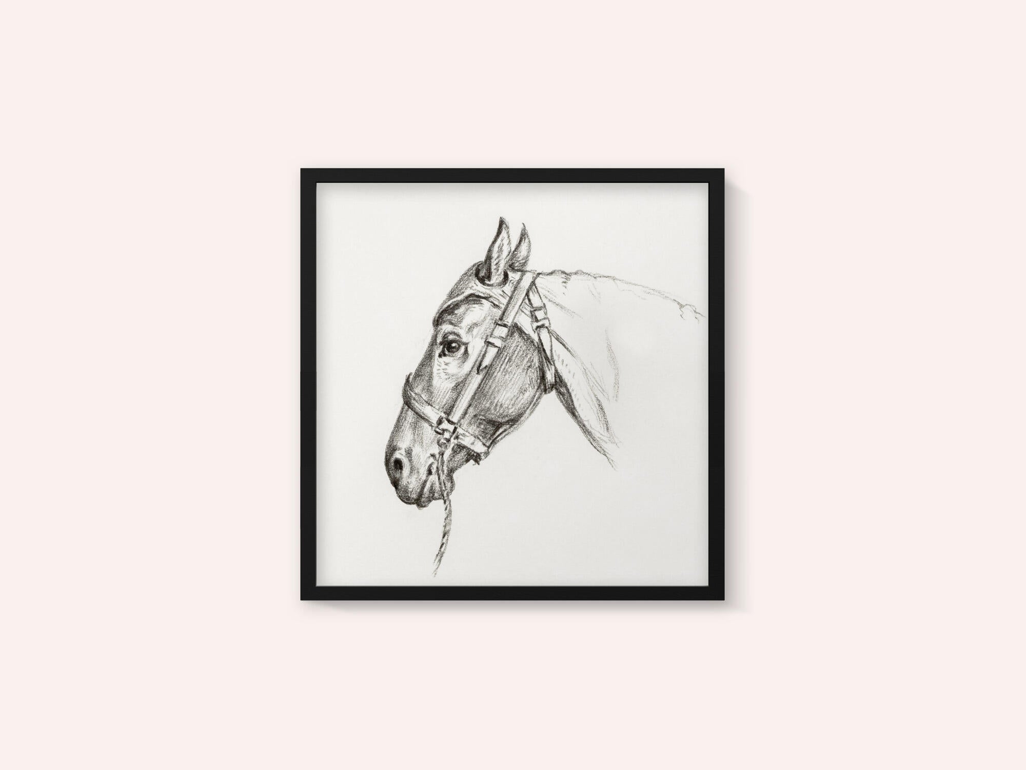 Head of a Horse (1818)