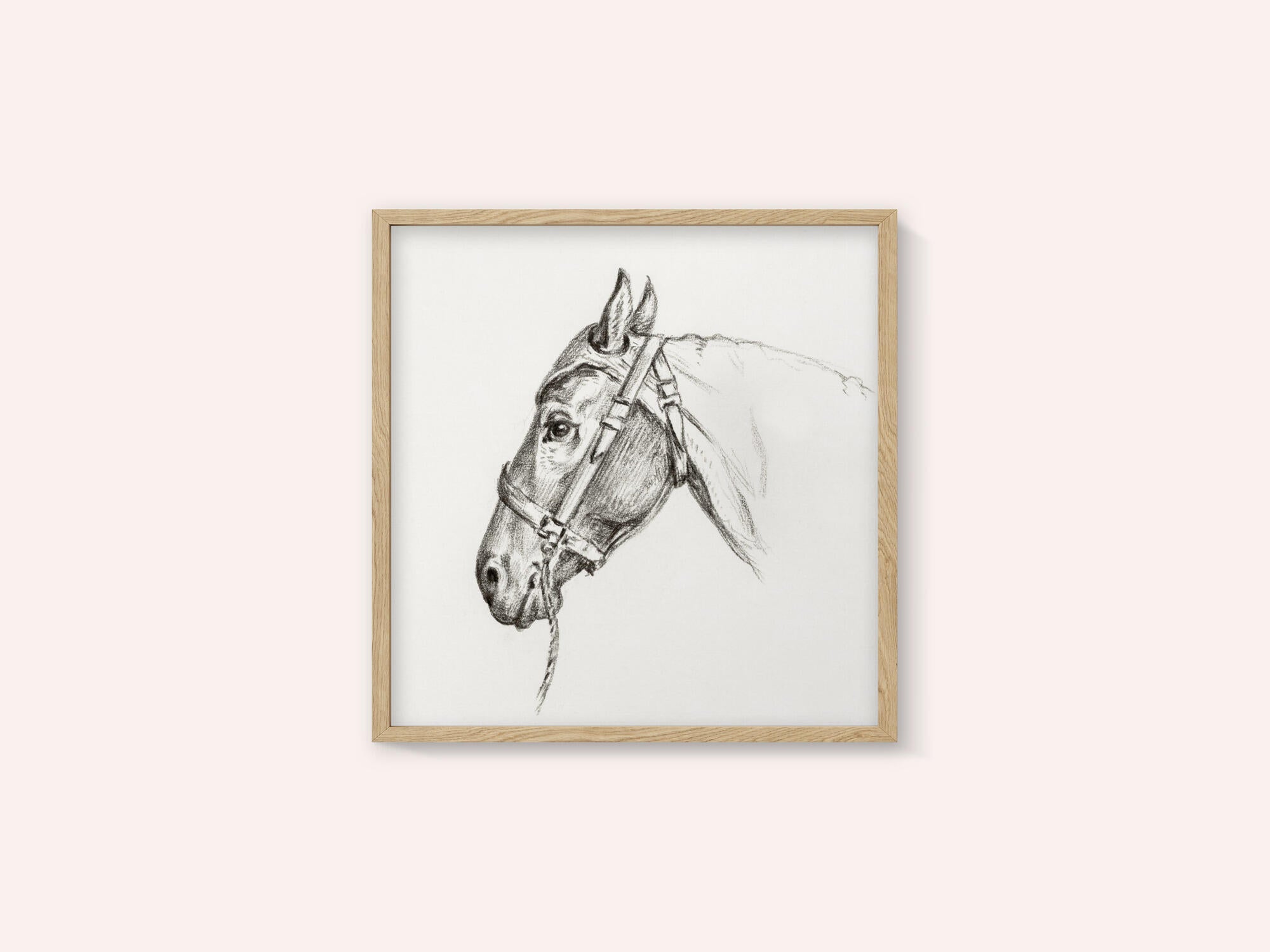 Head of a Horse (1818)